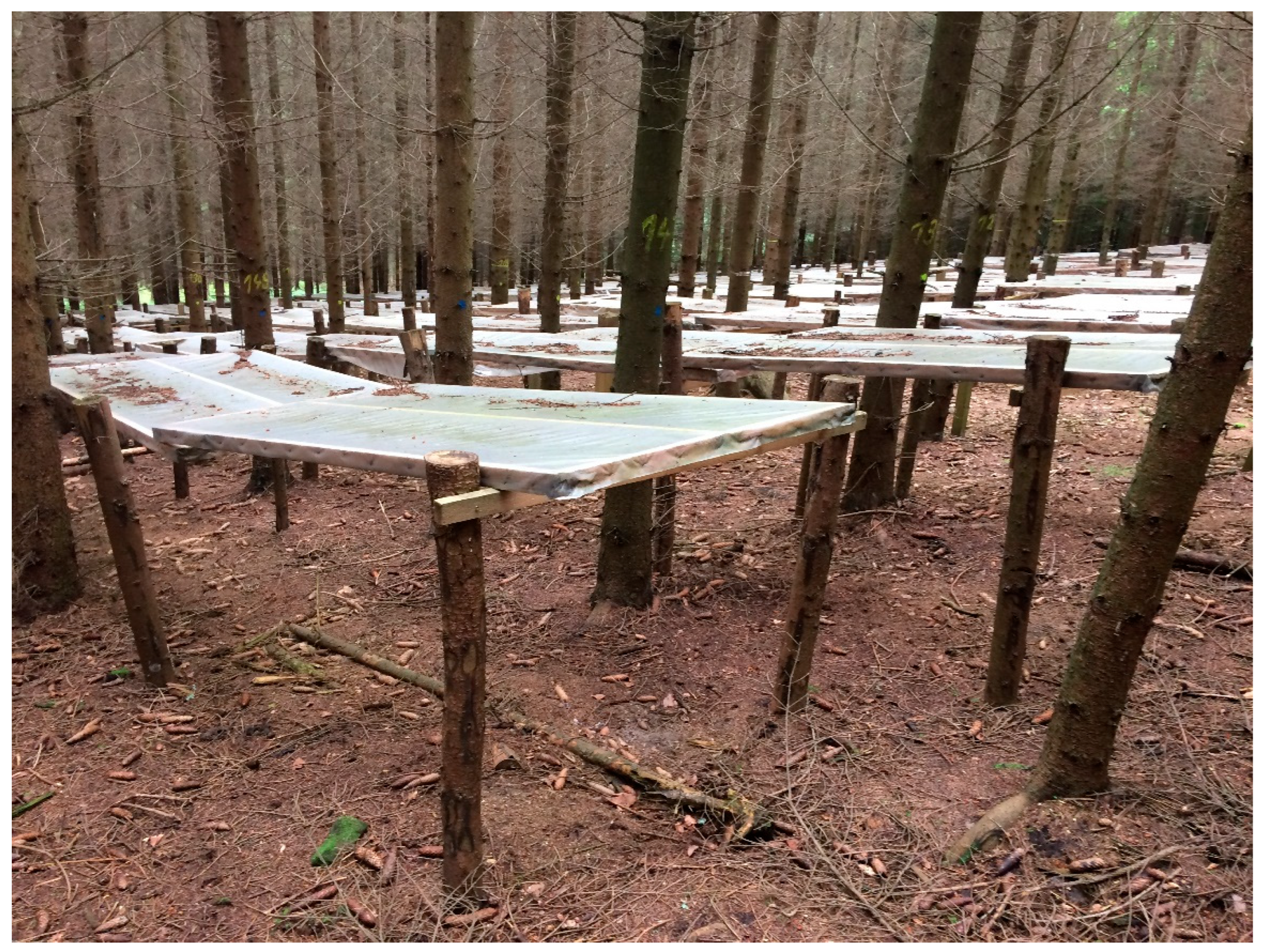 Preprints 199488 g001