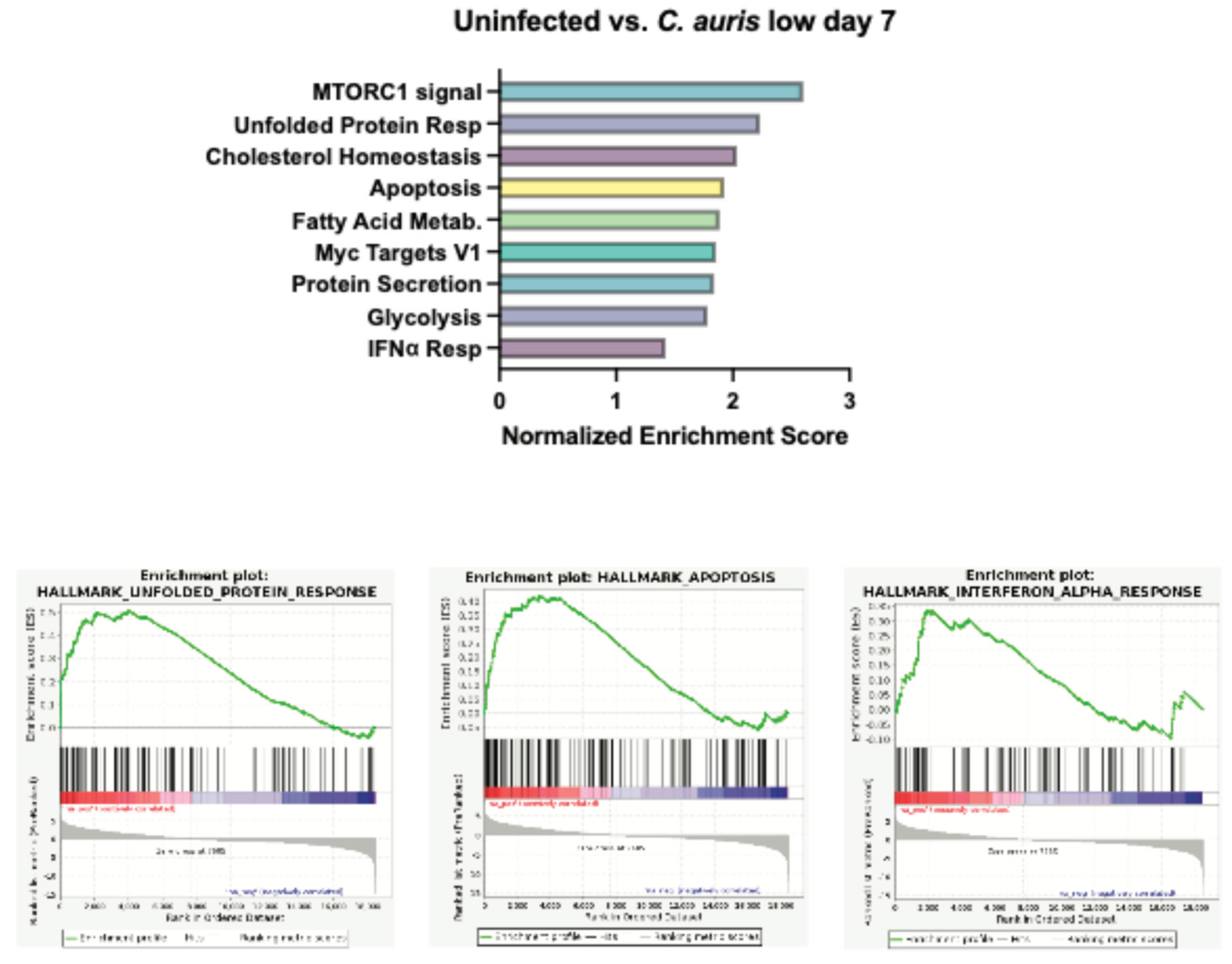 Preprints 165287 g006