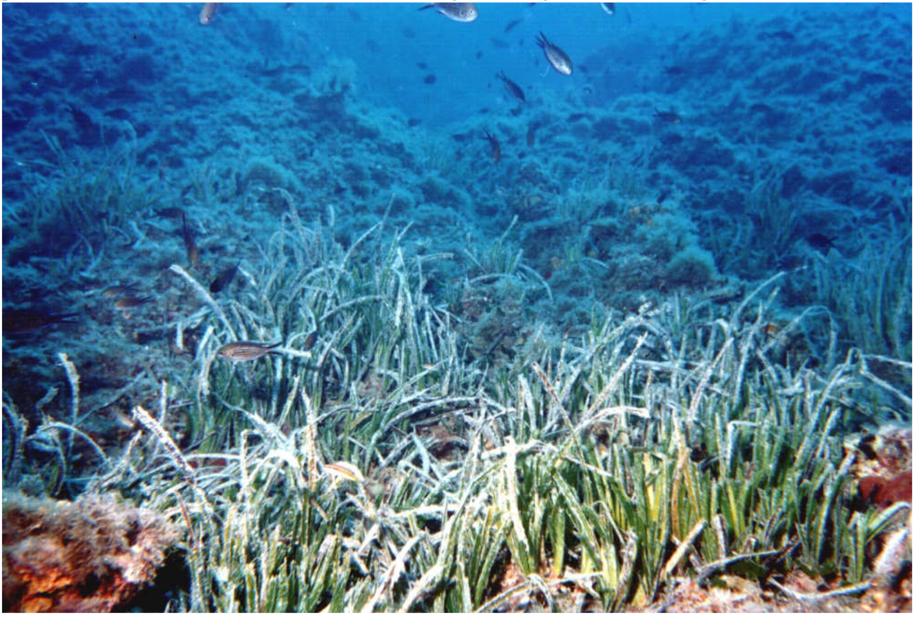 Preprints 74460 g005