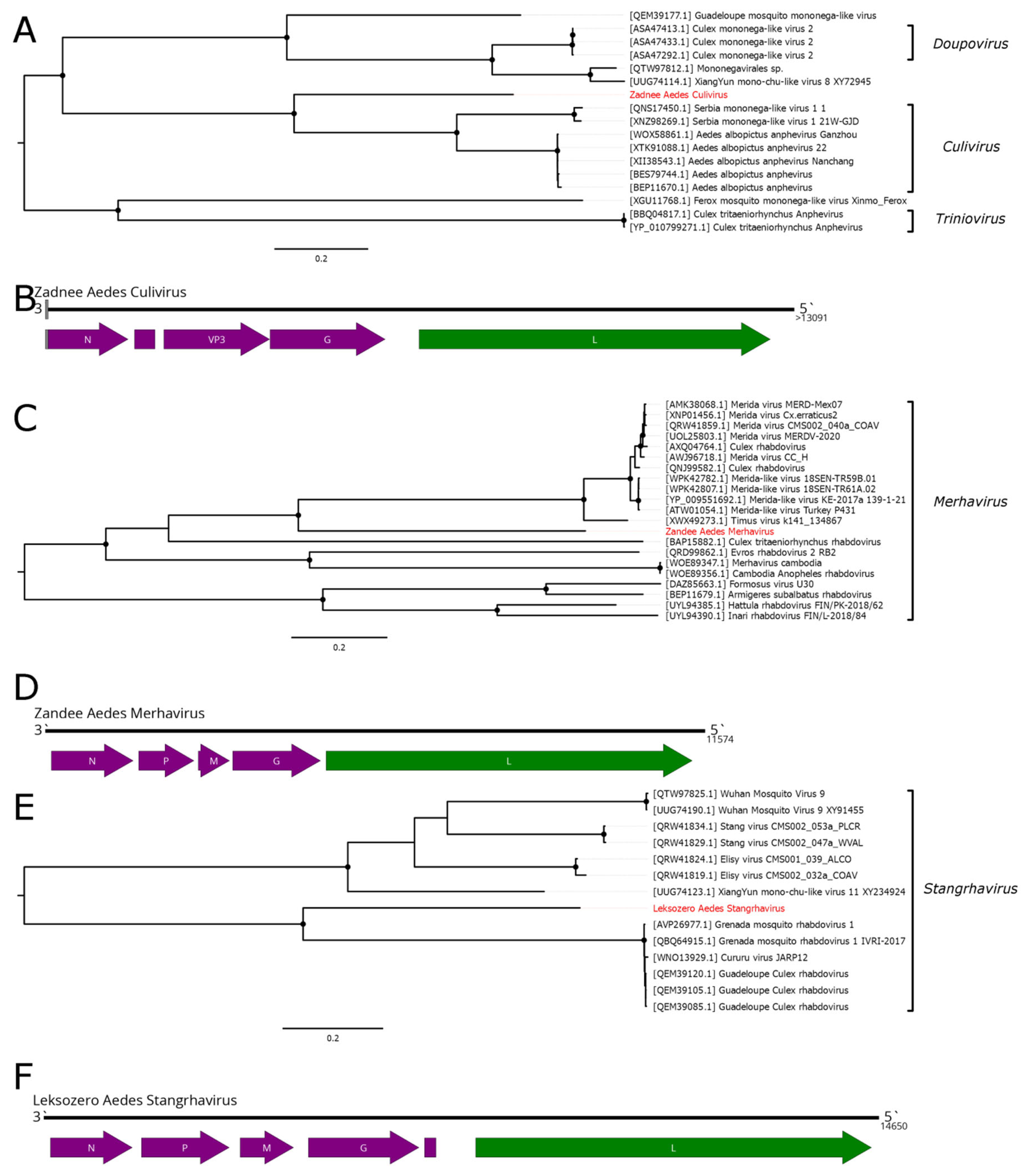 Preprints 188311 g008
