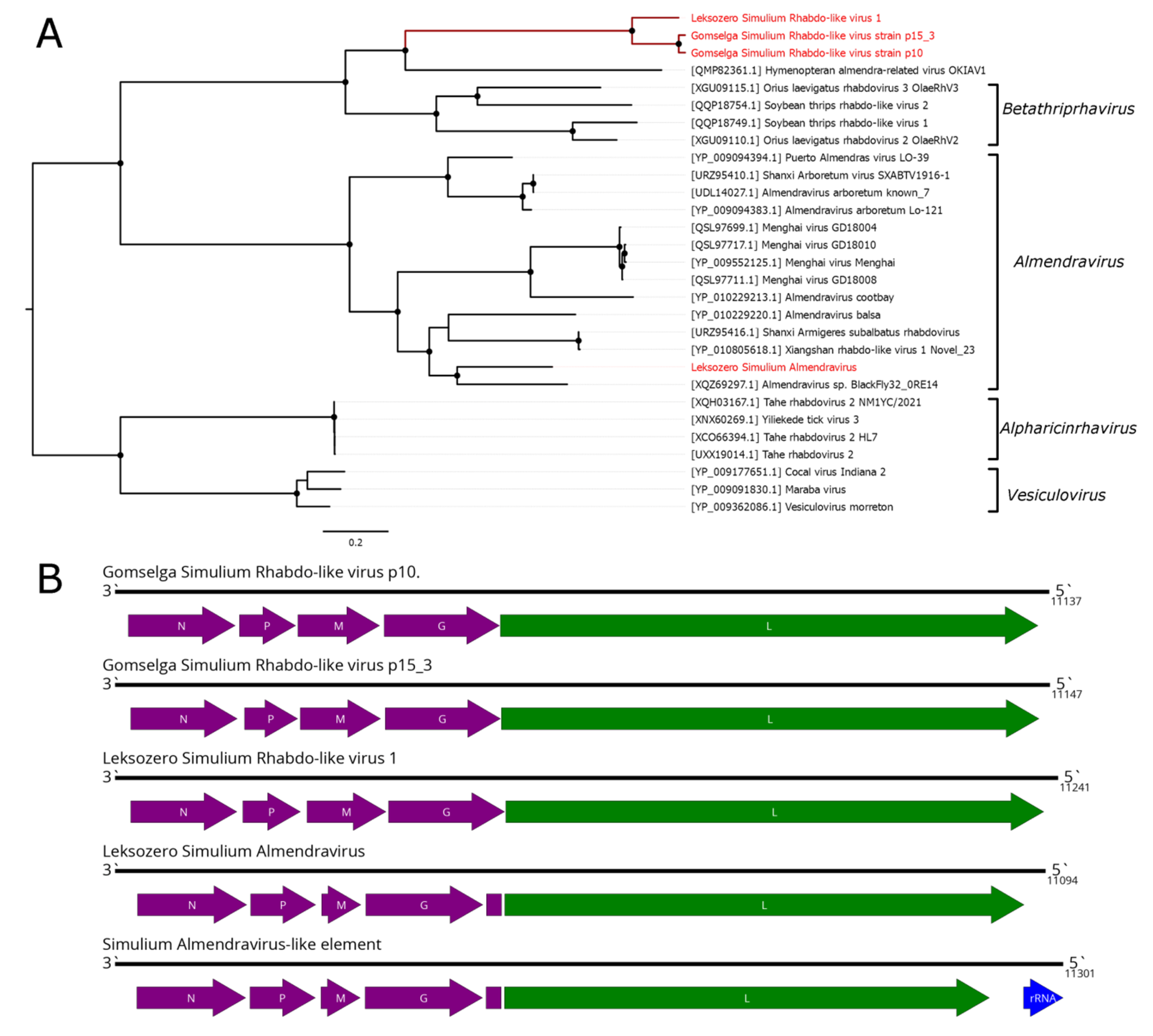 Preprints 188311 g009