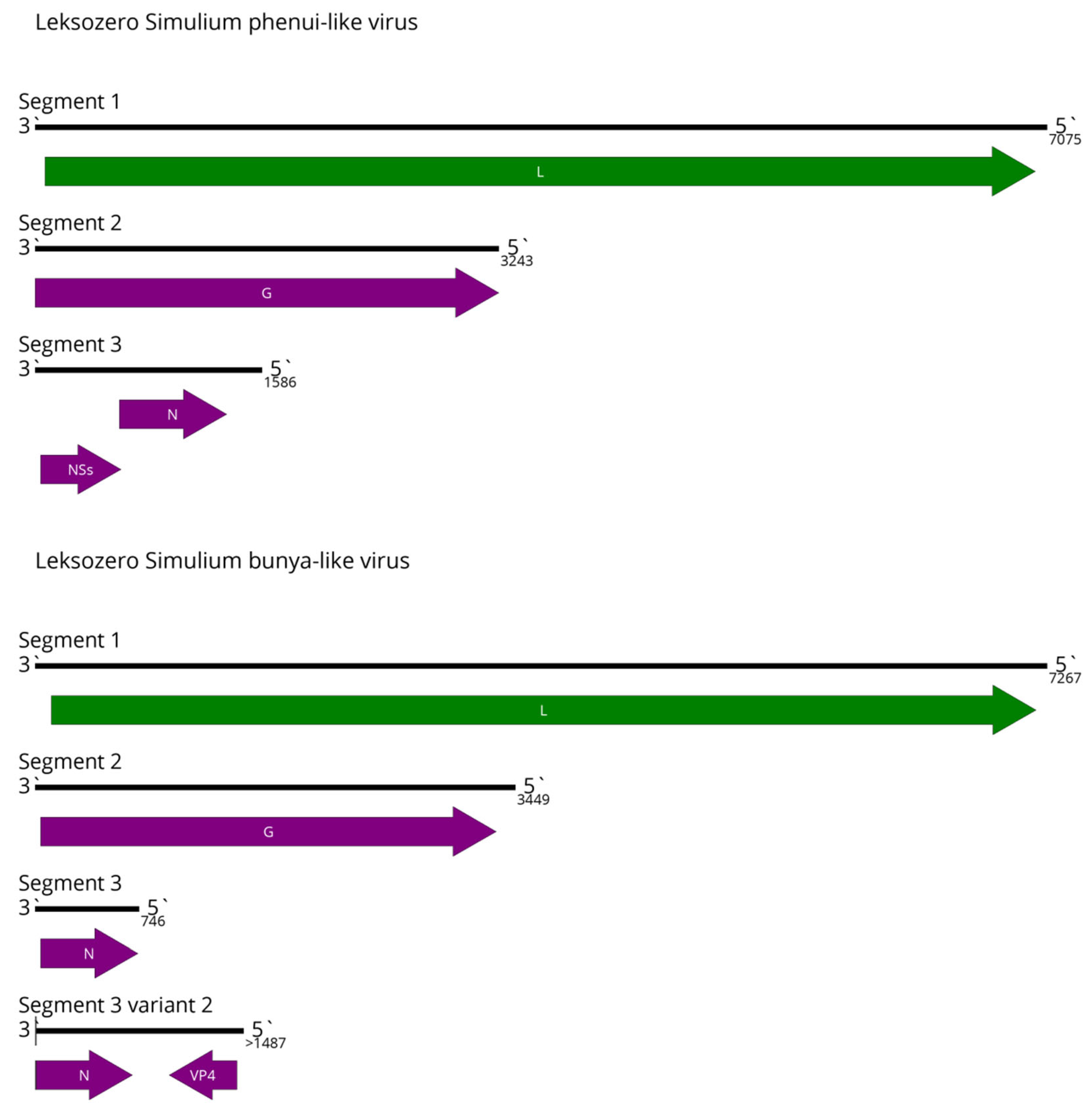 Preprints 188311 g010