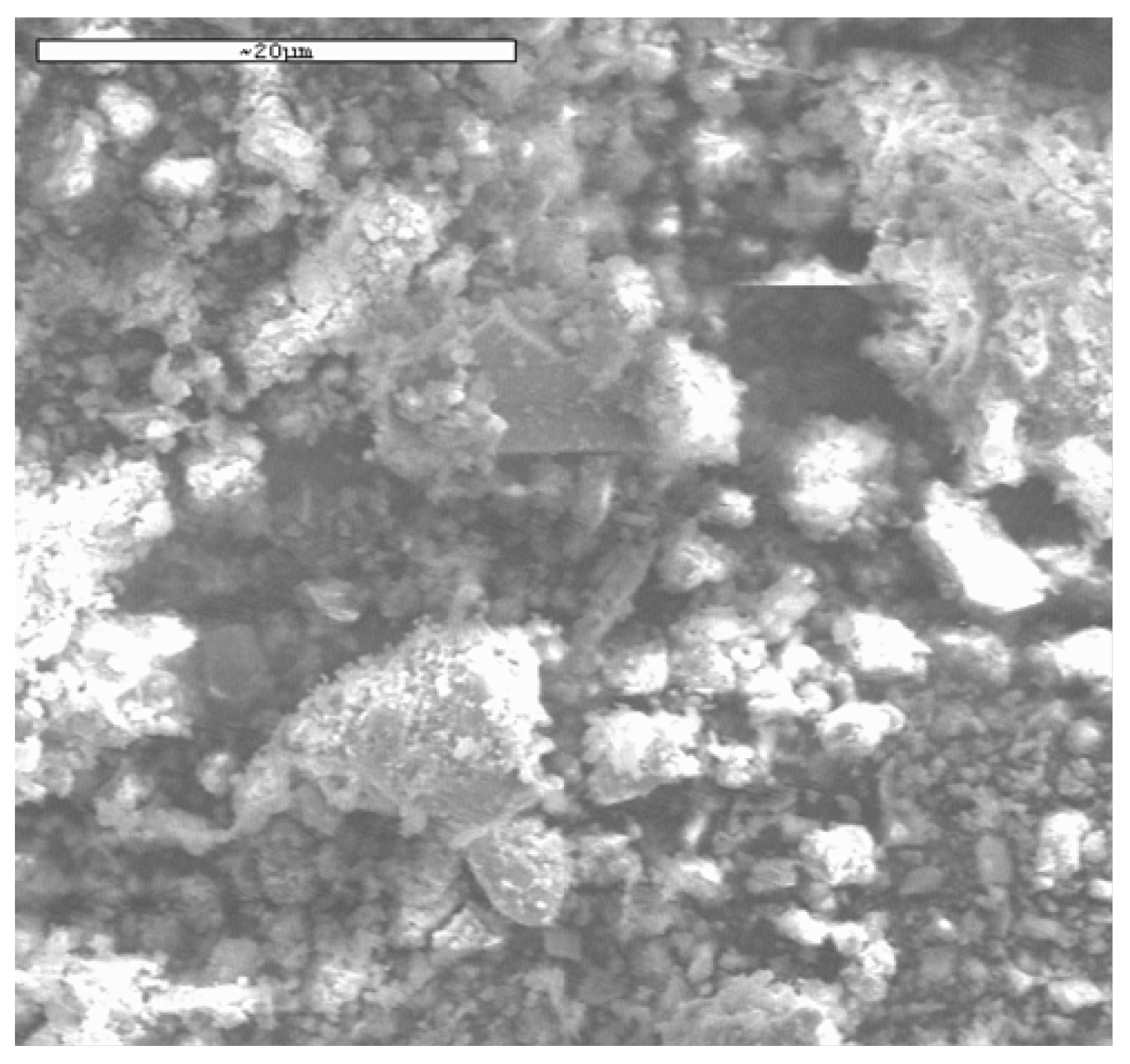 Preprints 196847 g005