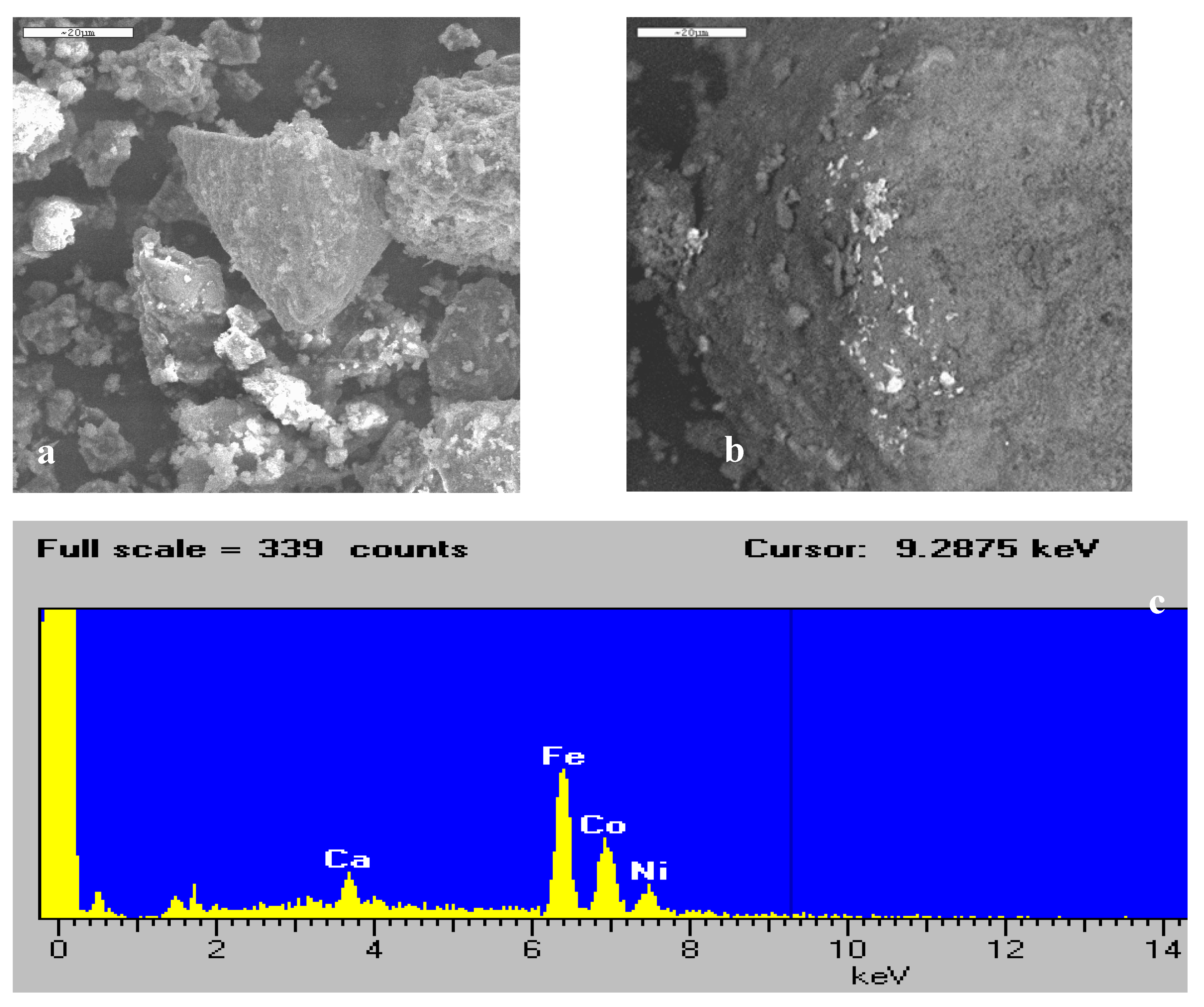 Preprints 196847 g009