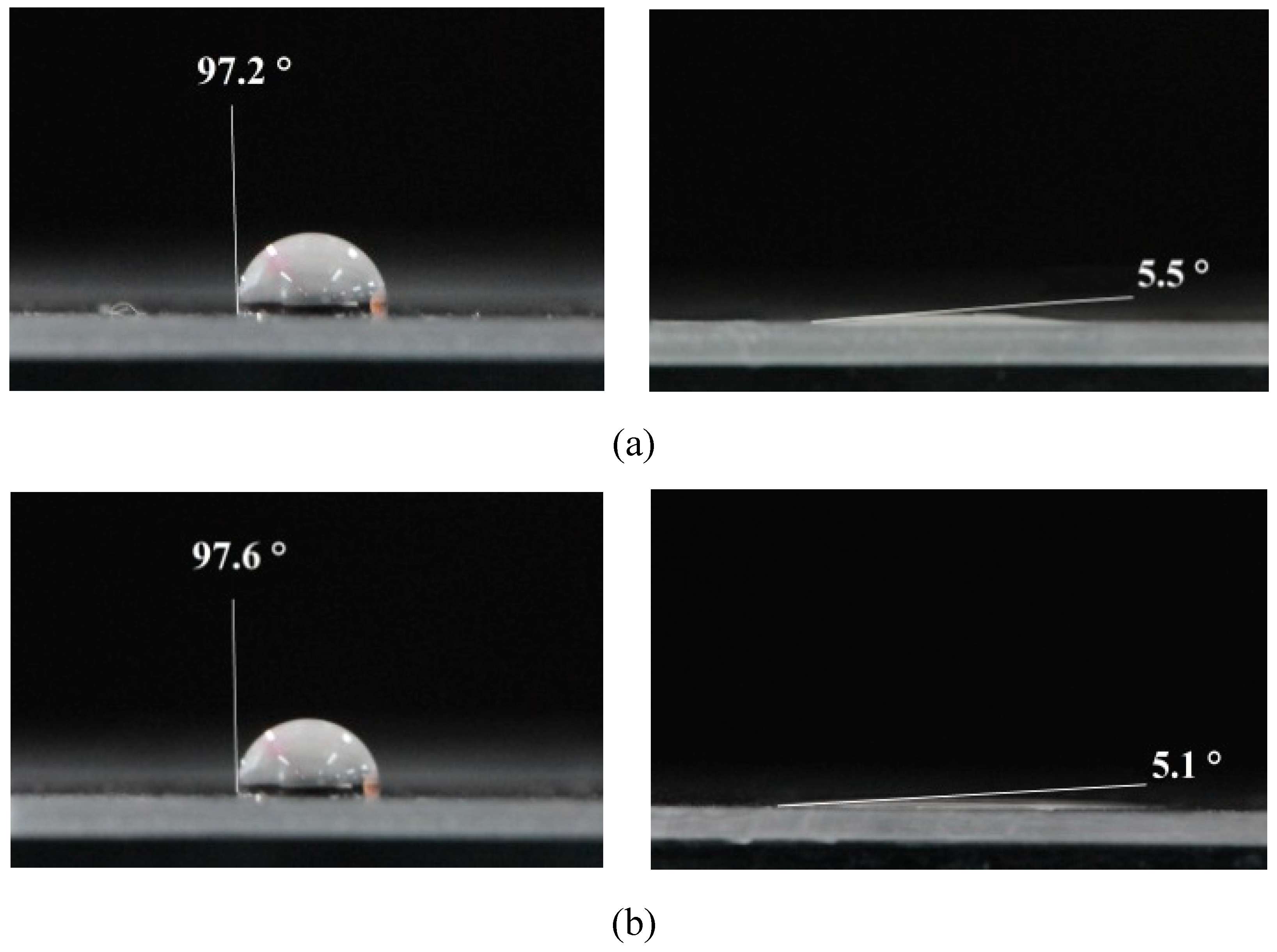 Preprints 83915 g004