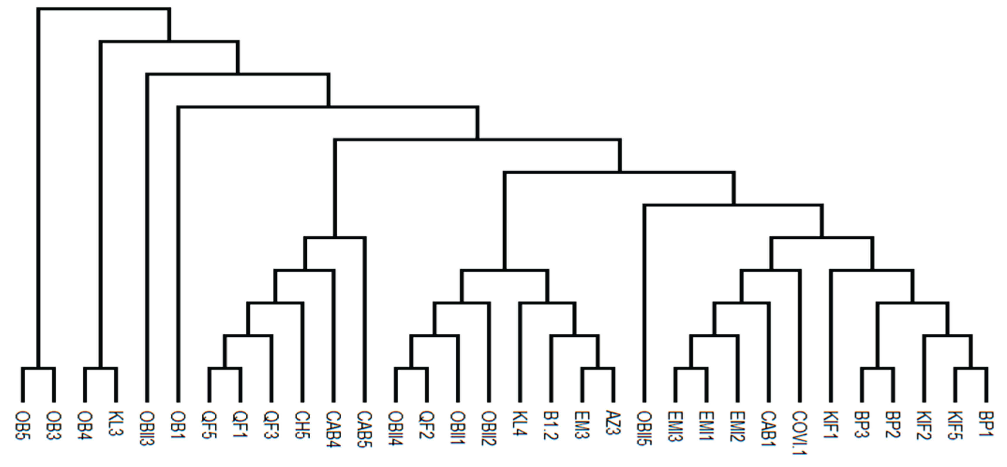 Preprints 195108 g003