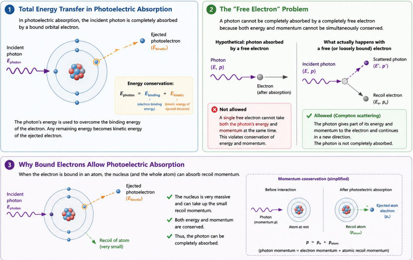 Preprints 224191 g006 Preprints 224191 g006