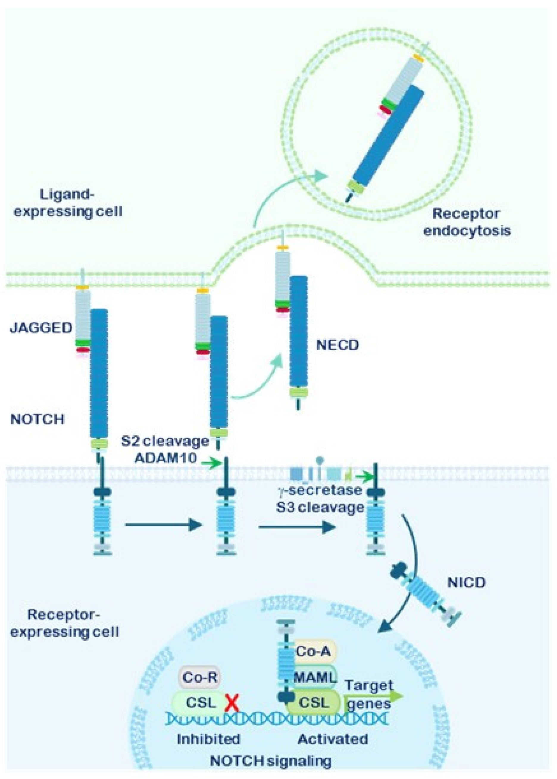 Preprints 199387 g003