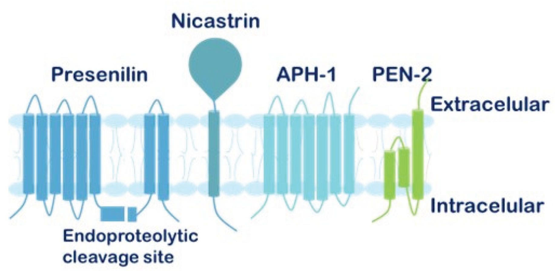 Preprints 199387 g006