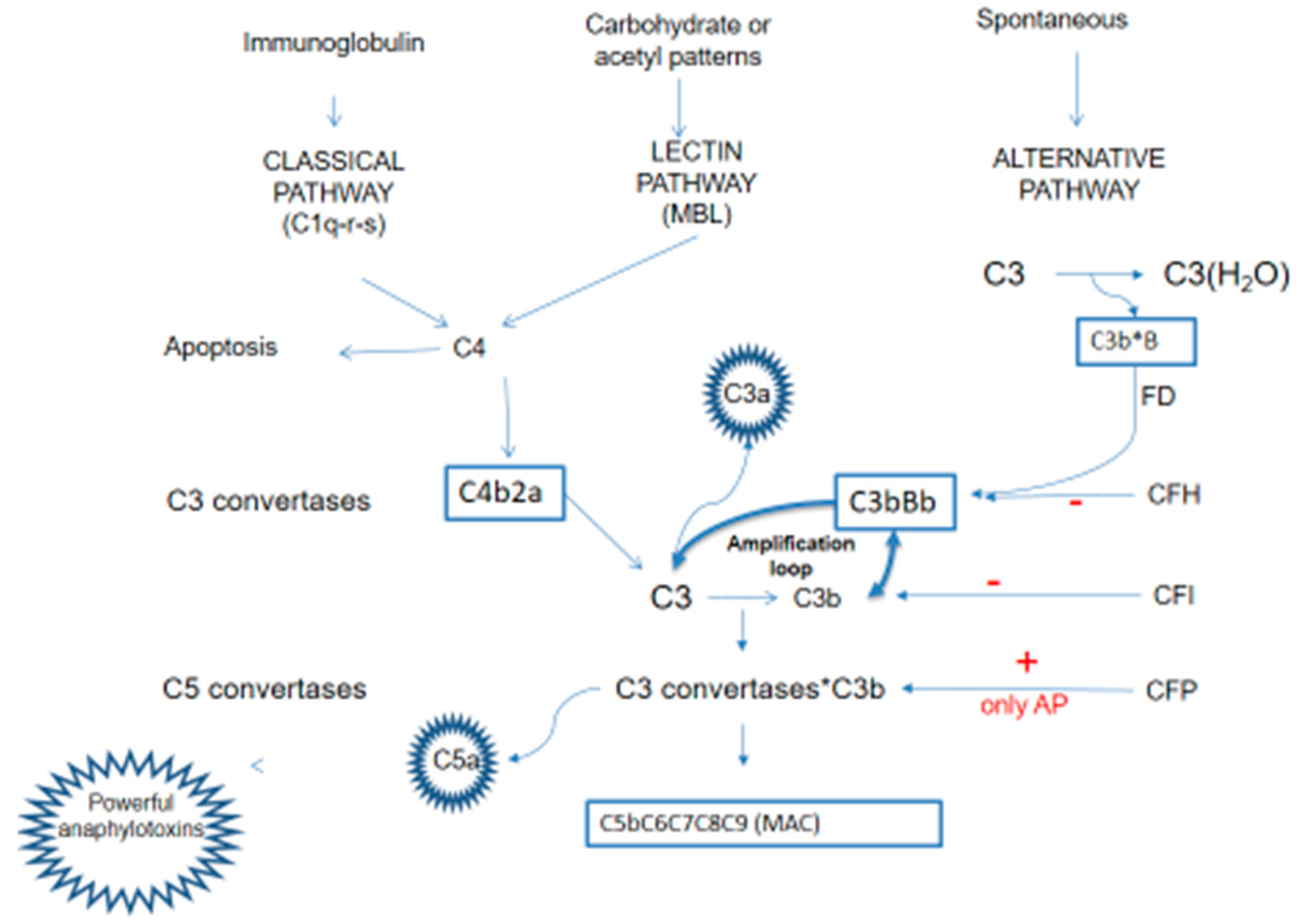 Preprints 141271 g001