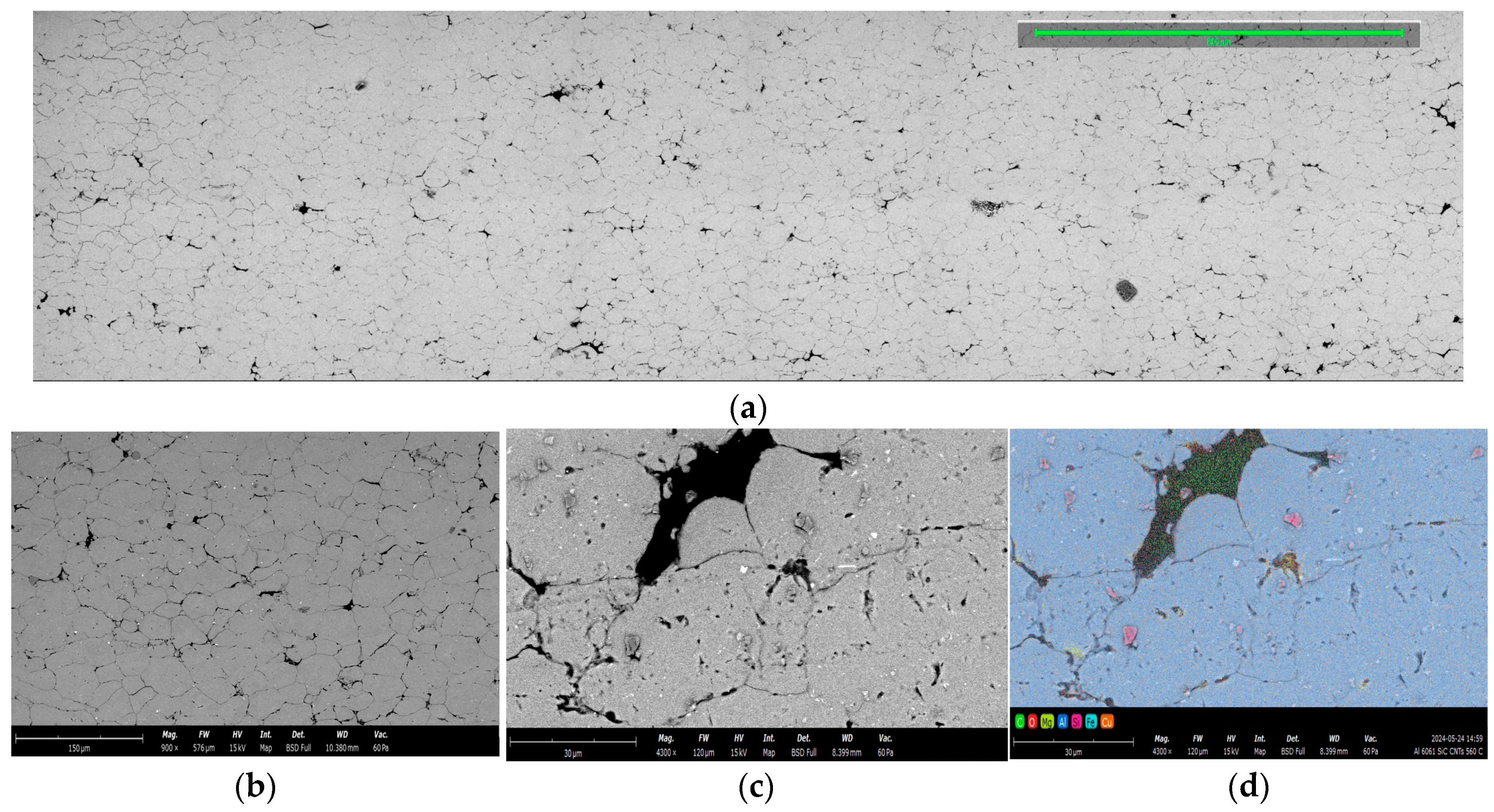 Preprints 120195 g012