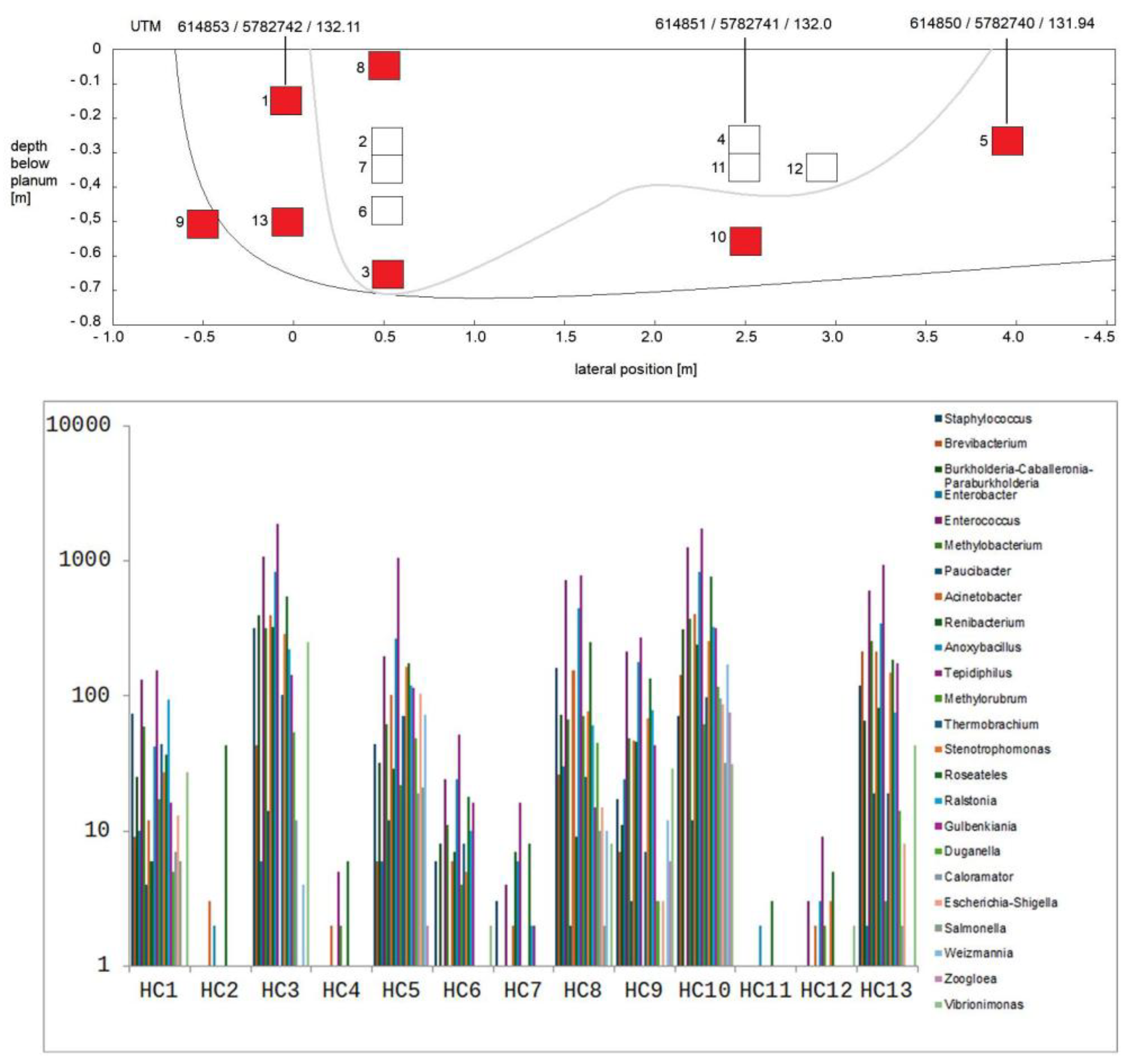 Preprints 194350 g008