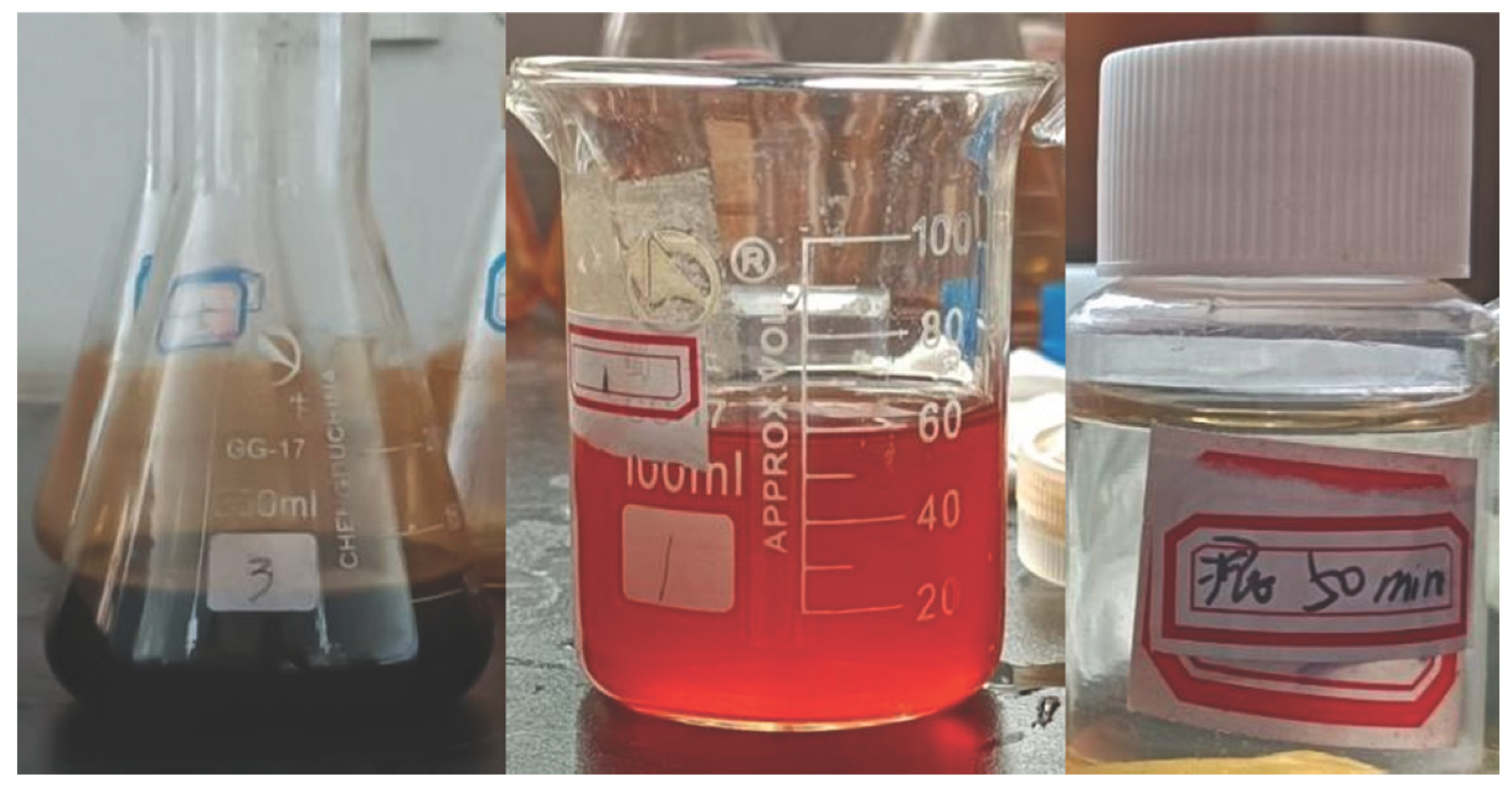 Preprints 163099 g003