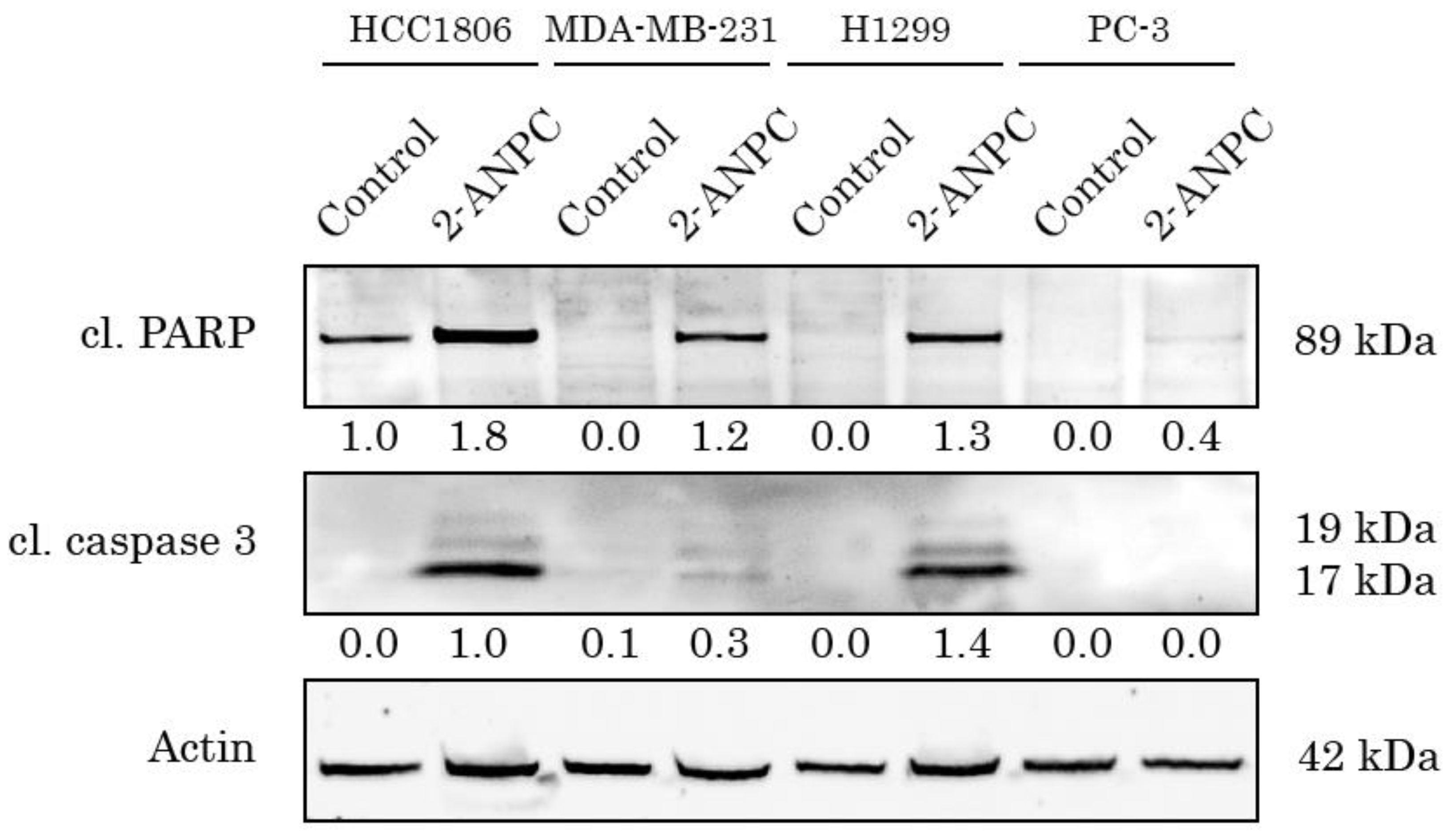Preprints 189153 g002