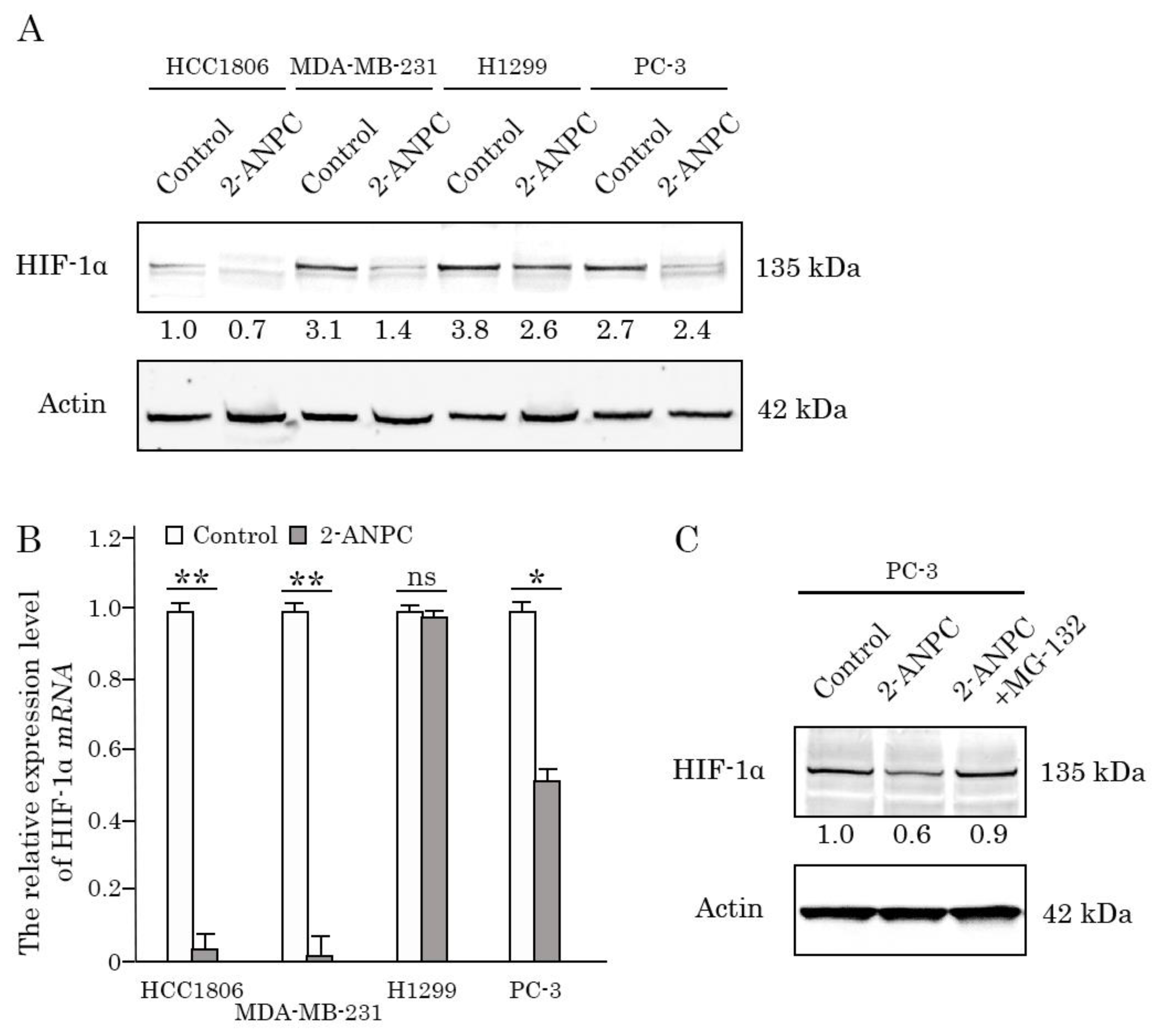 Preprints 189153 g003