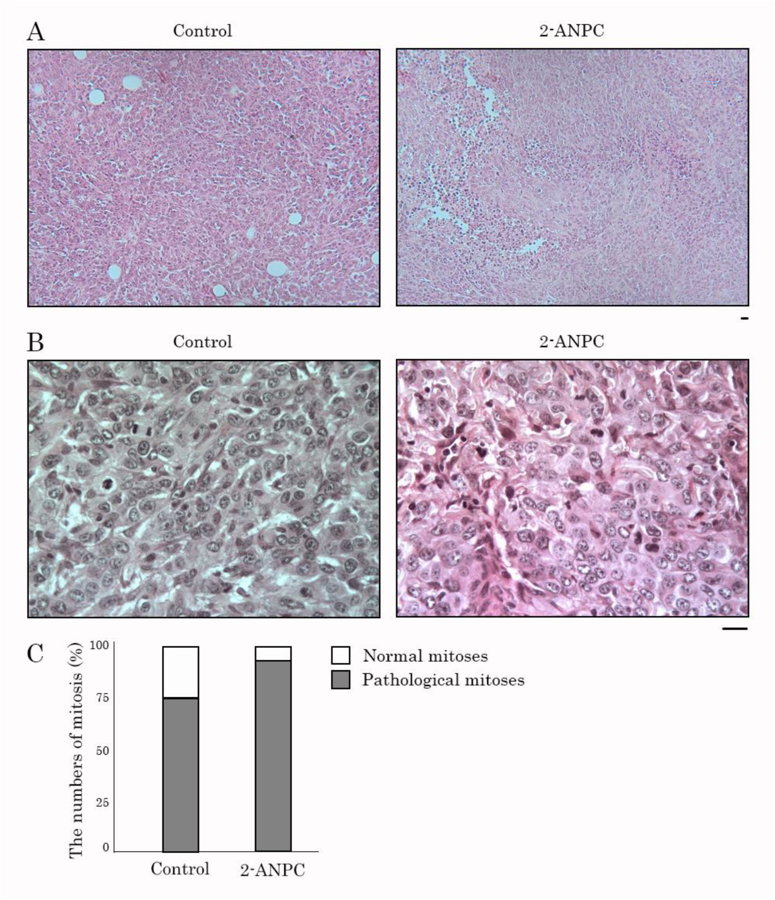 Preprints 189153 g005
