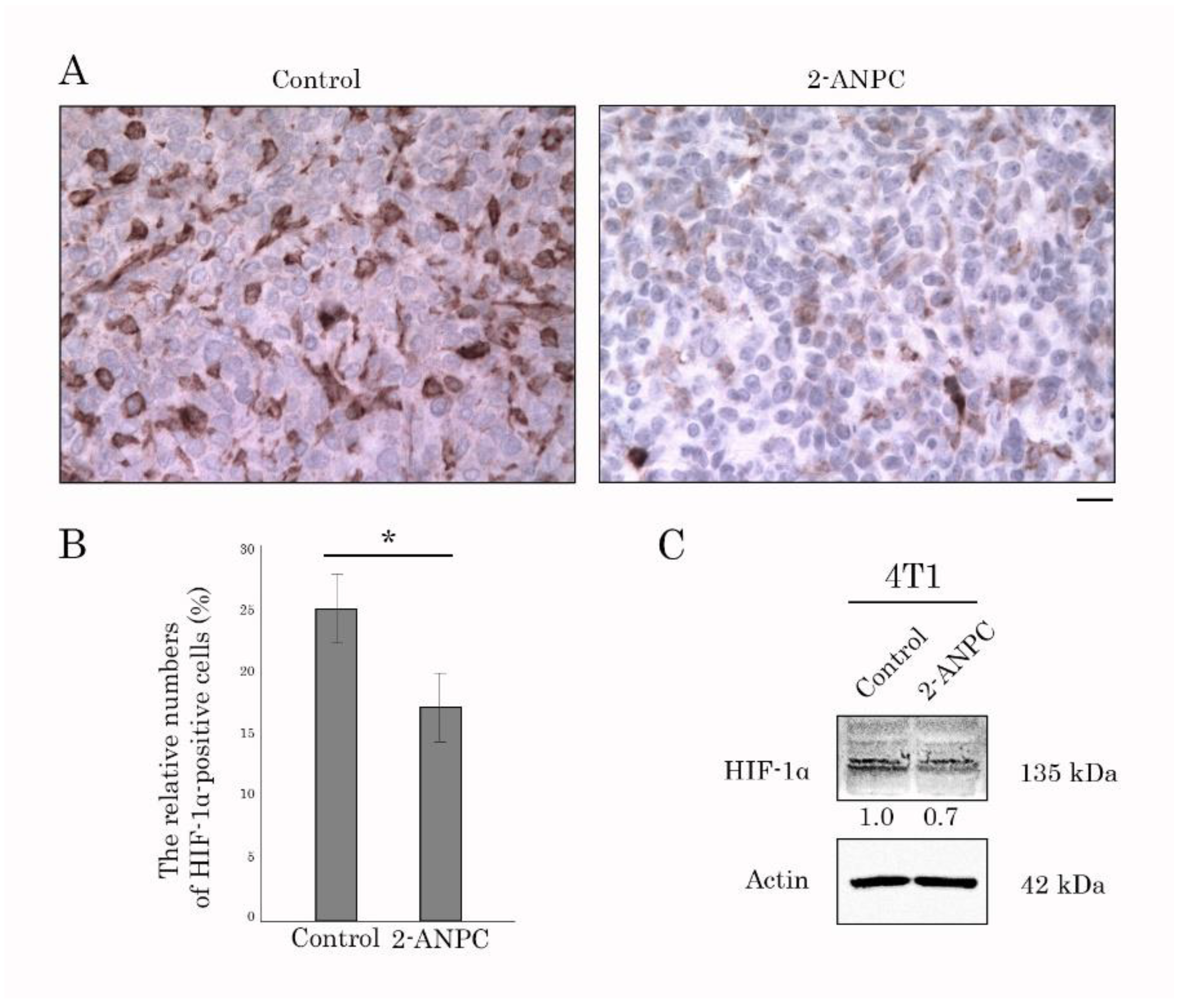 Preprints 189153 g006