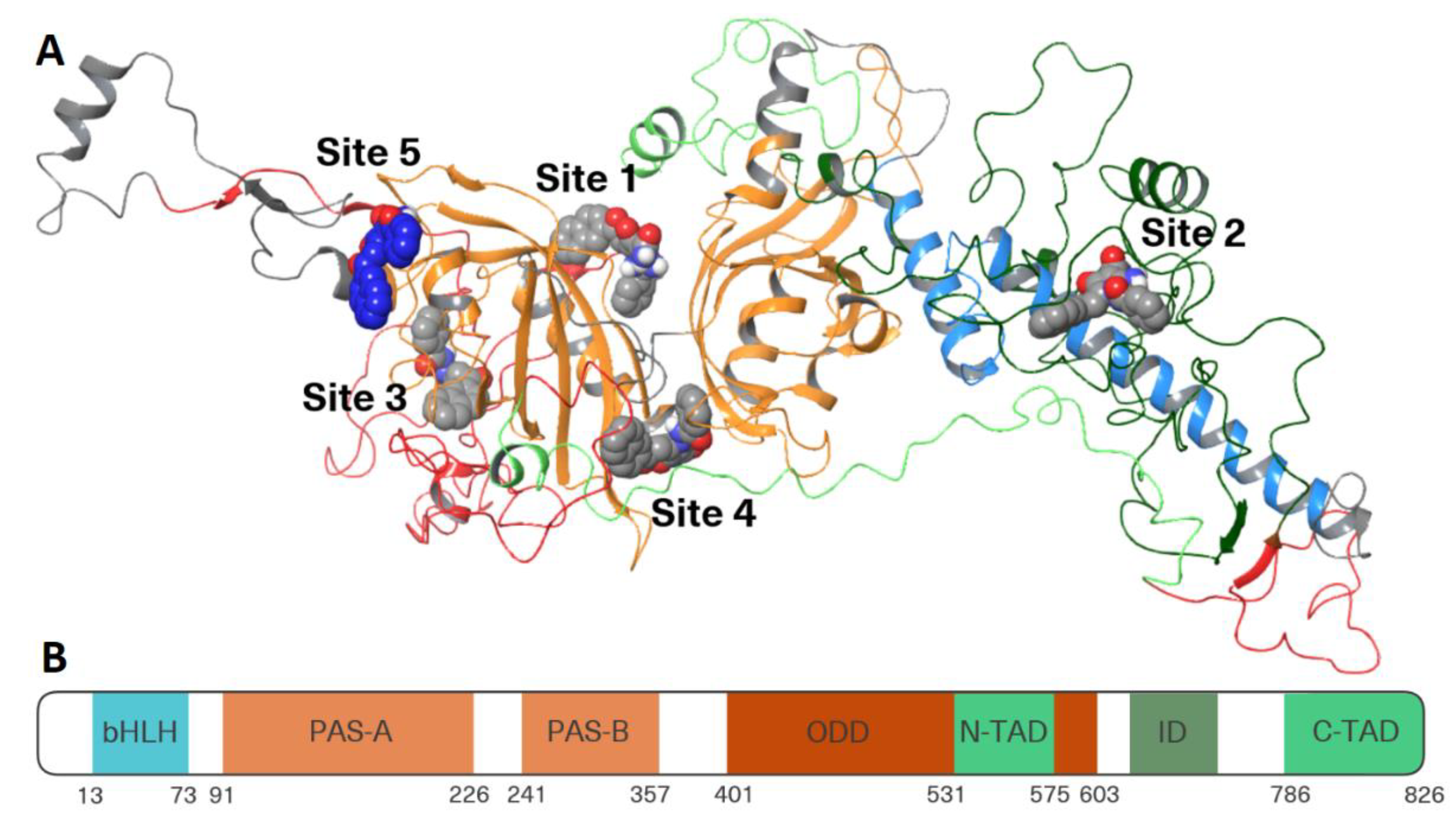 Preprints 189153 g009