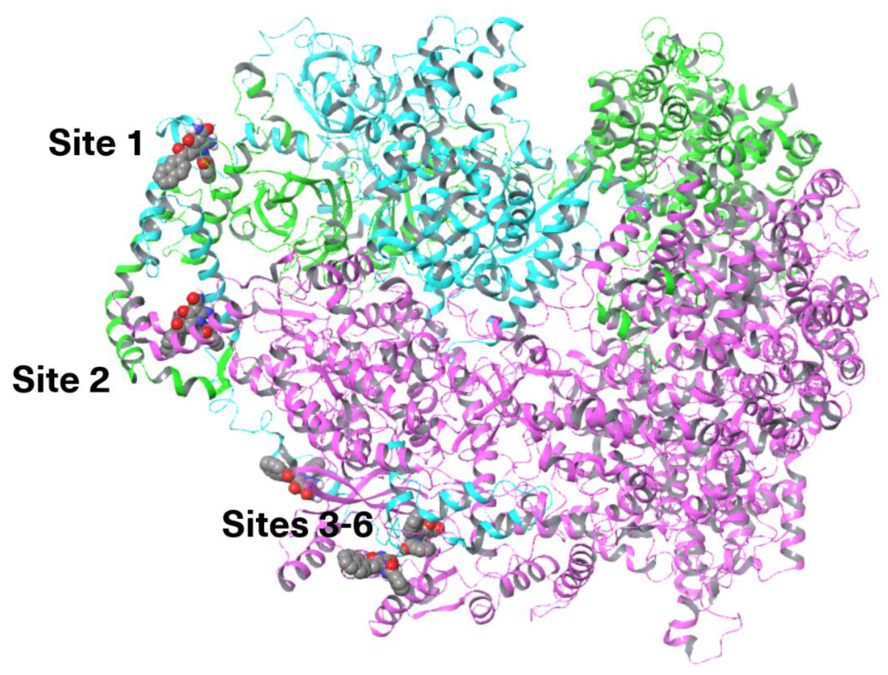 Preprints 189153 g010