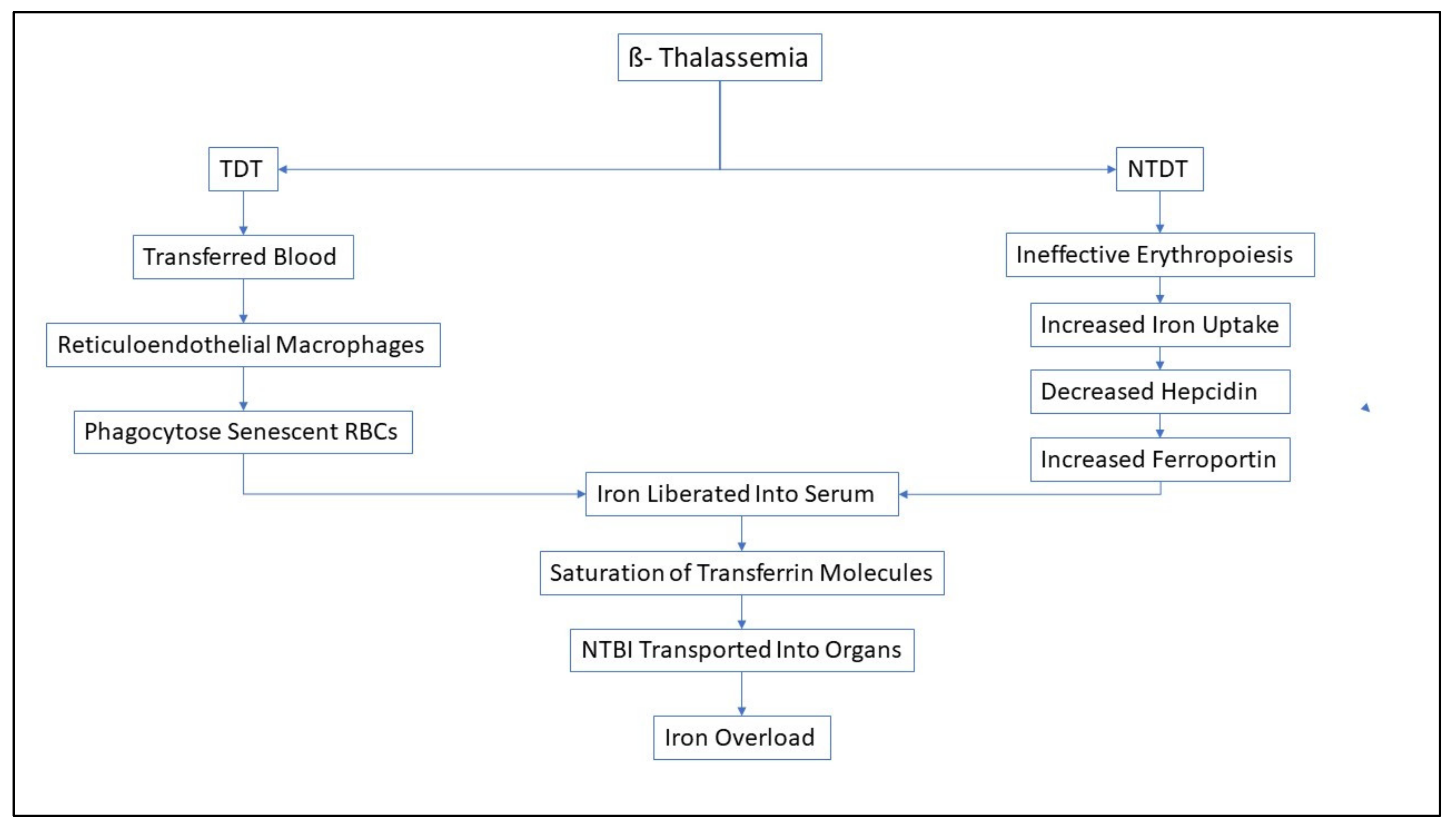 Preprints 75514 g002