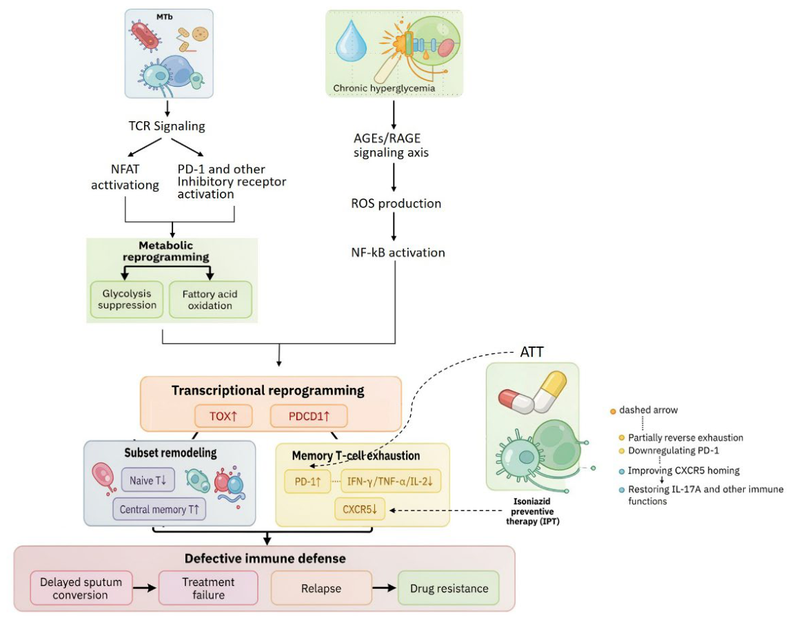 Preprints 233640 g001