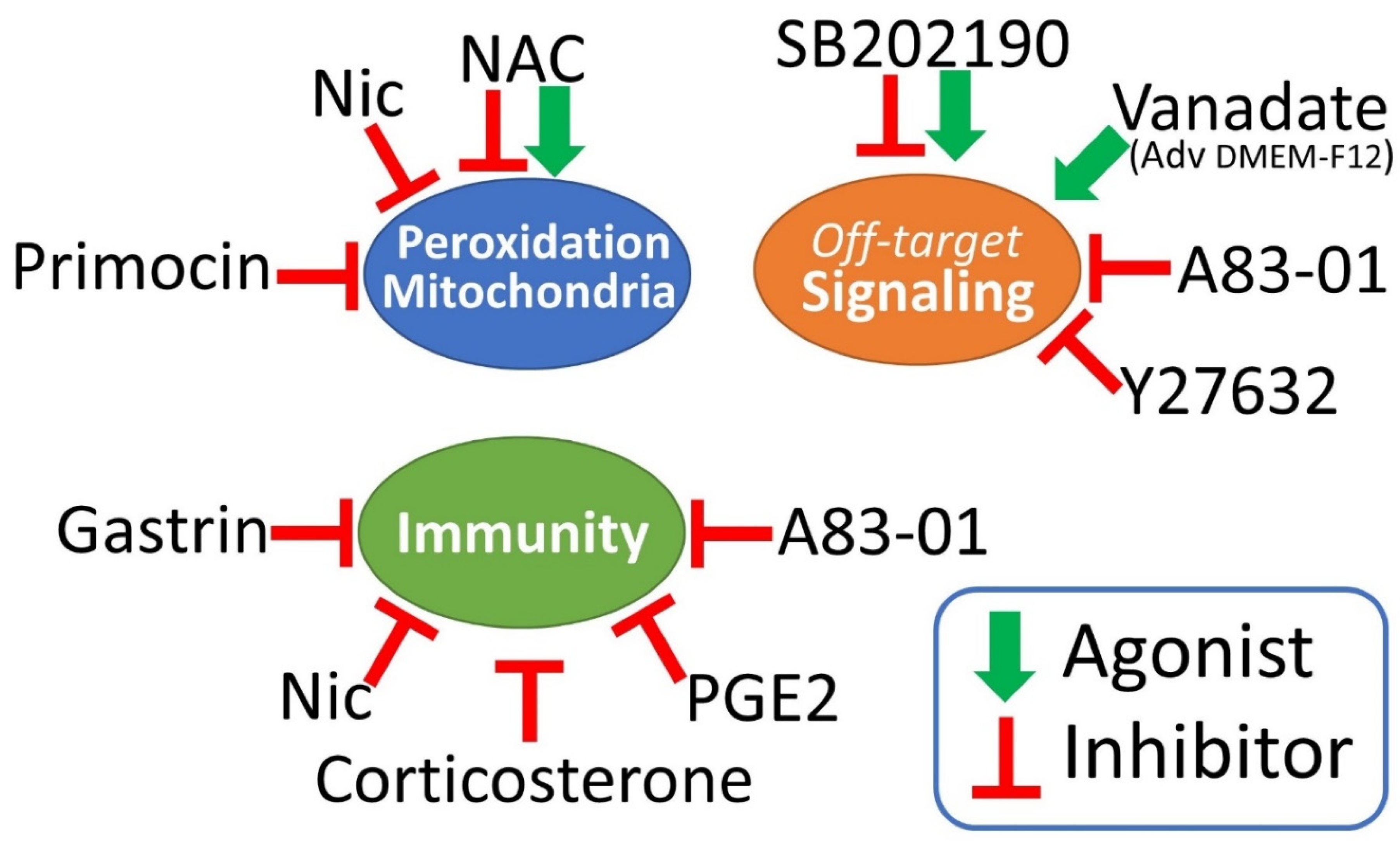 Preprints 189802 g002