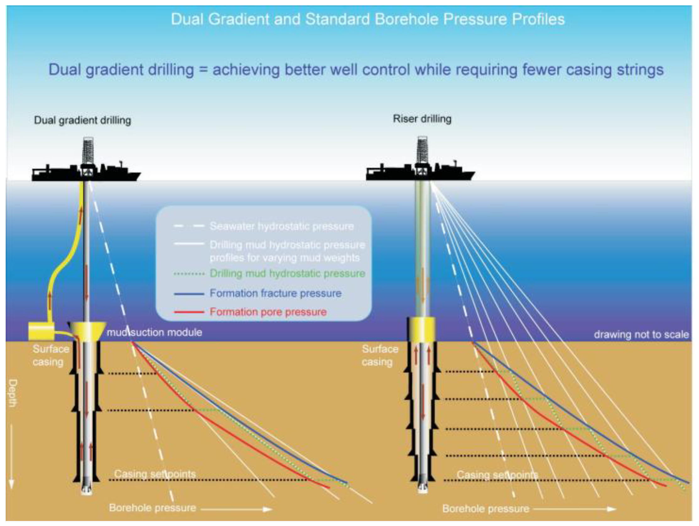 Preprints 196068 g002