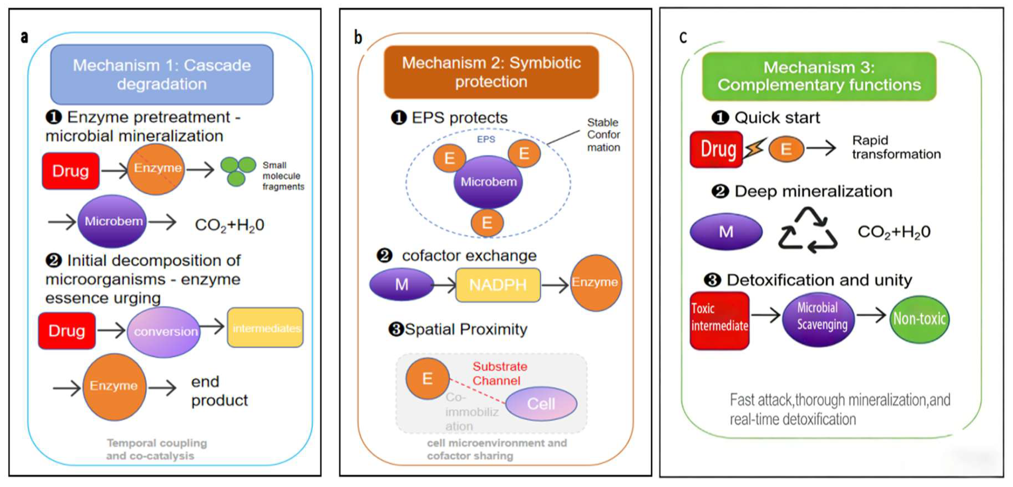 Preprints 208952 g003 Preprints 208952 g003