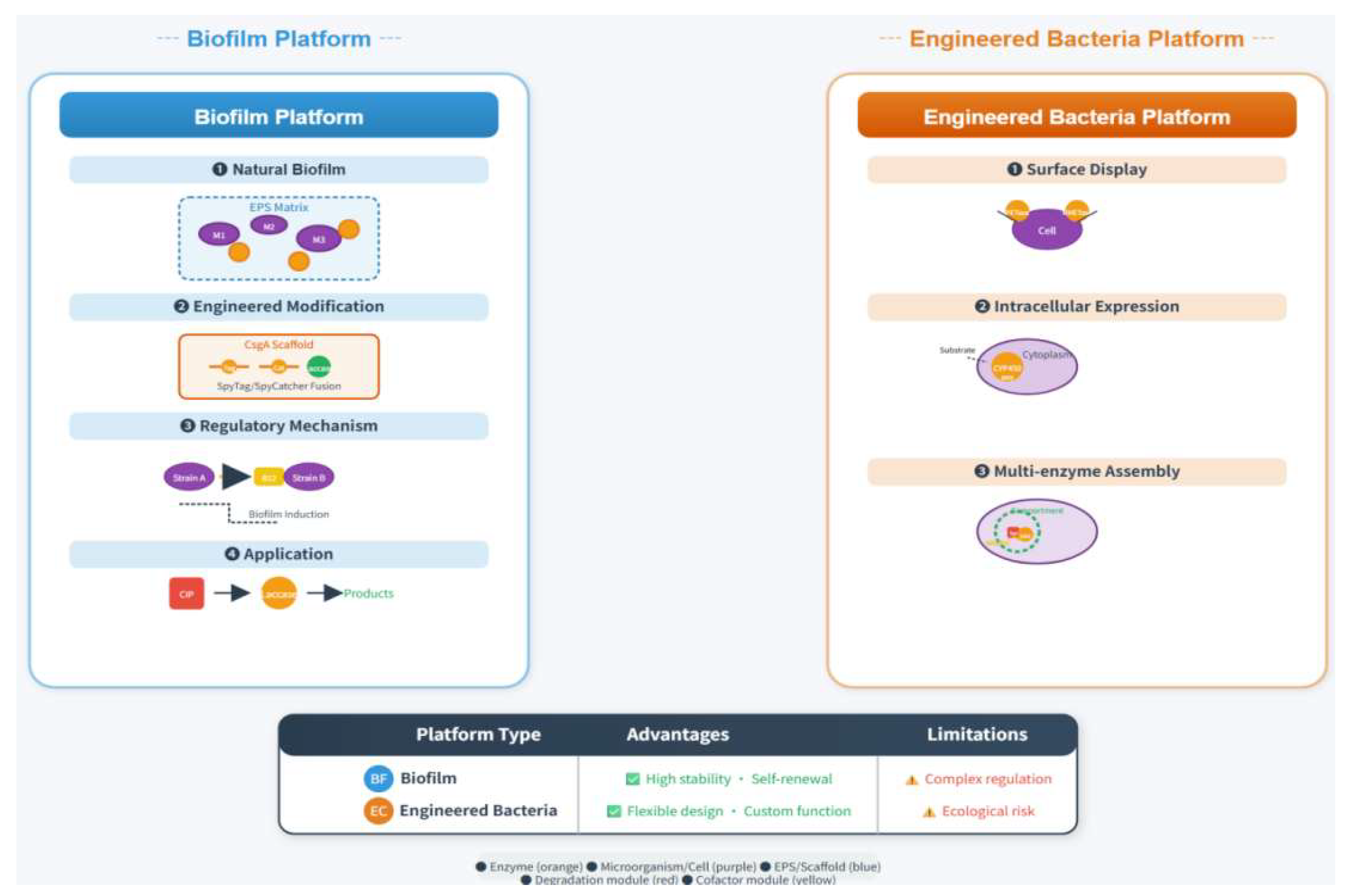 Preprints 208952 g005 Preprints 208952 g005