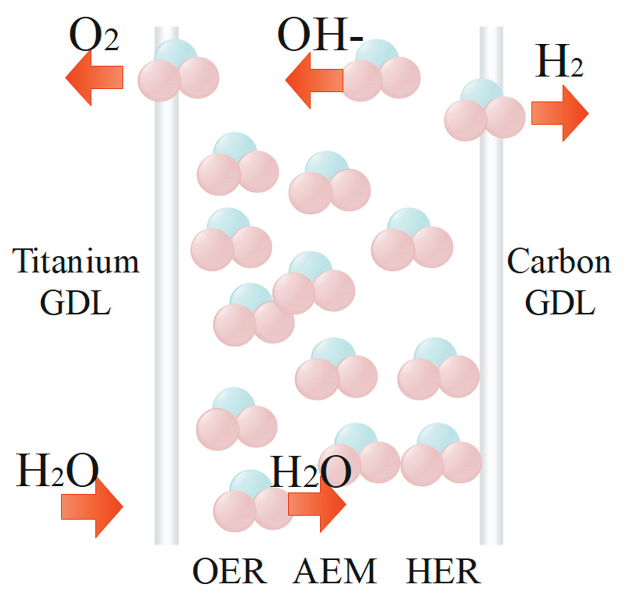 Preprints 161192 g007