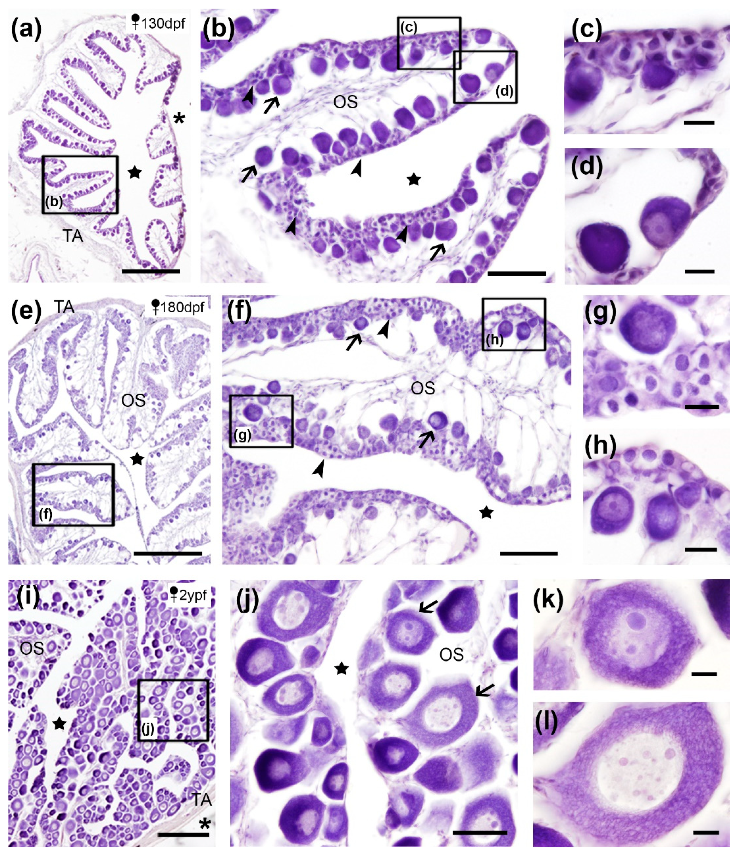 Preprints 200647 g001