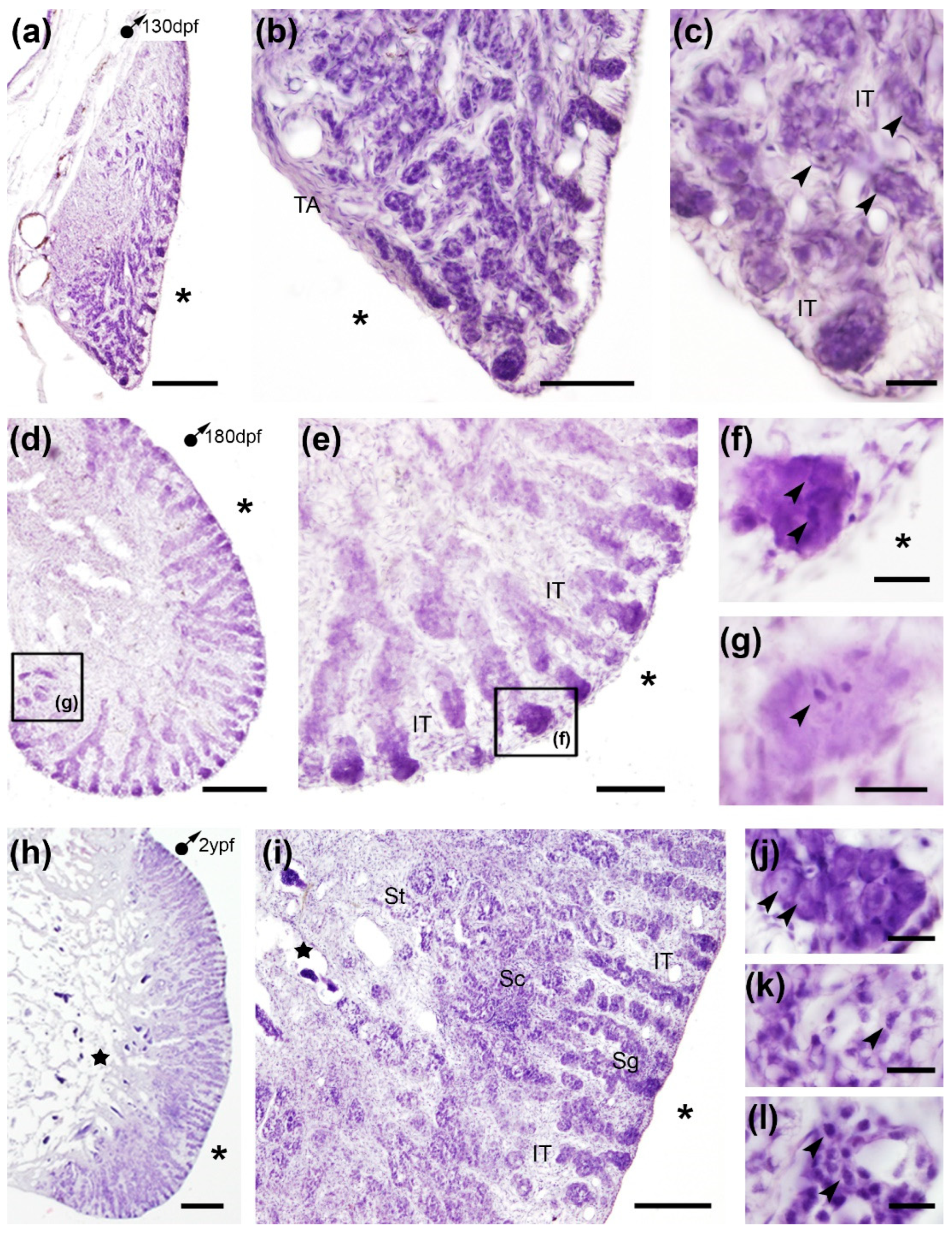 Preprints 200647 g002