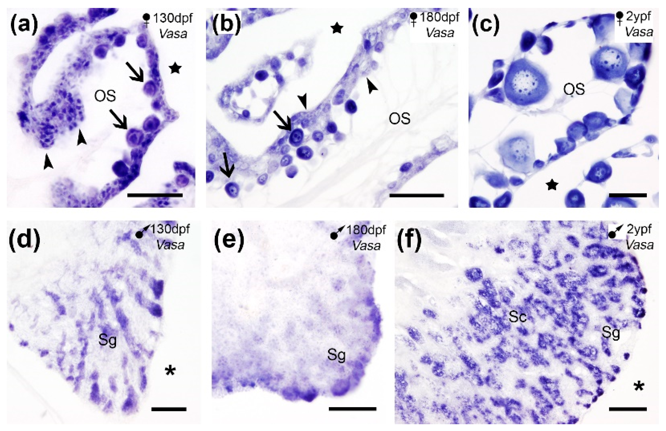 Preprints 200647 g003