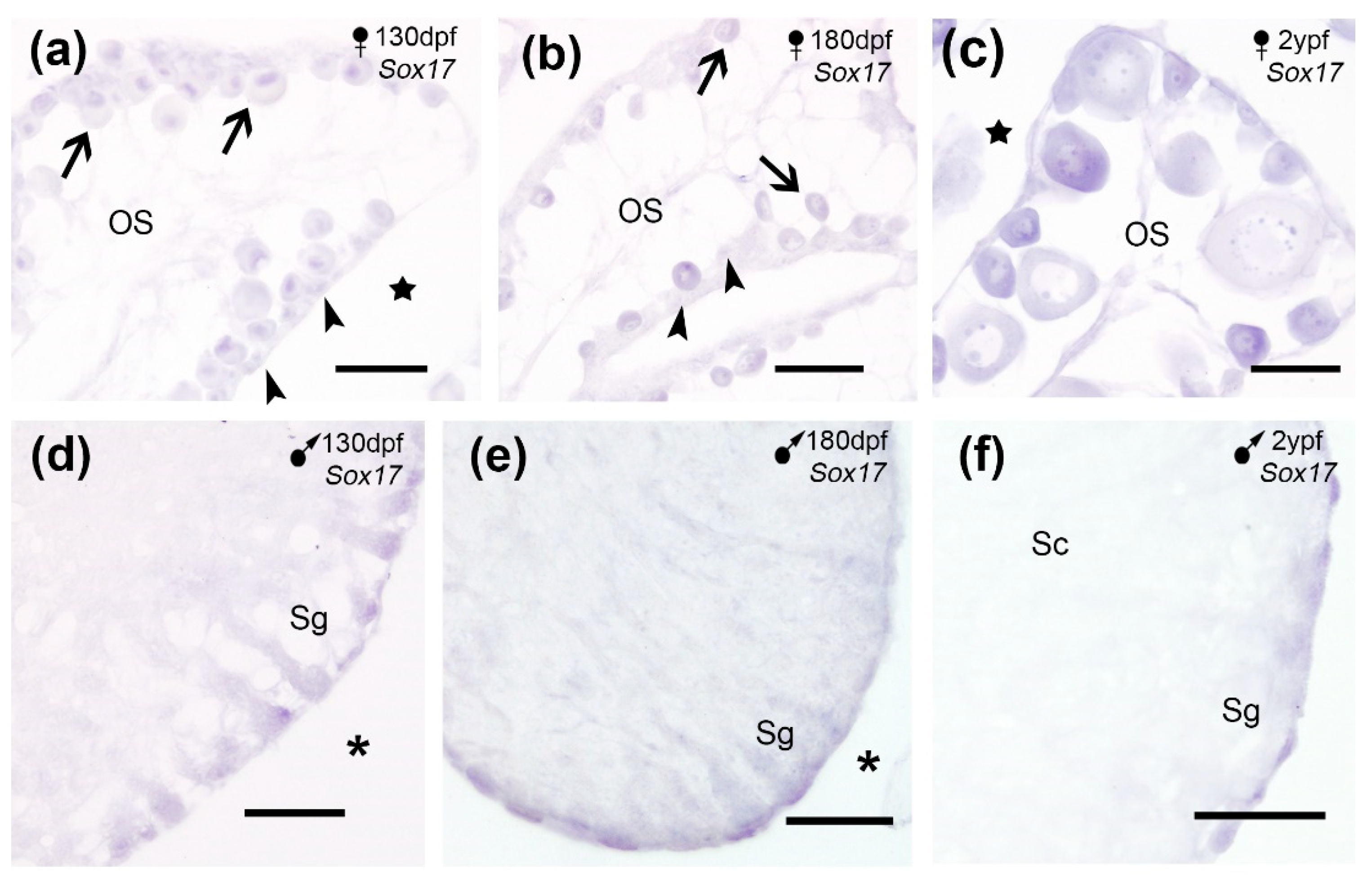 Preprints 200647 g007
