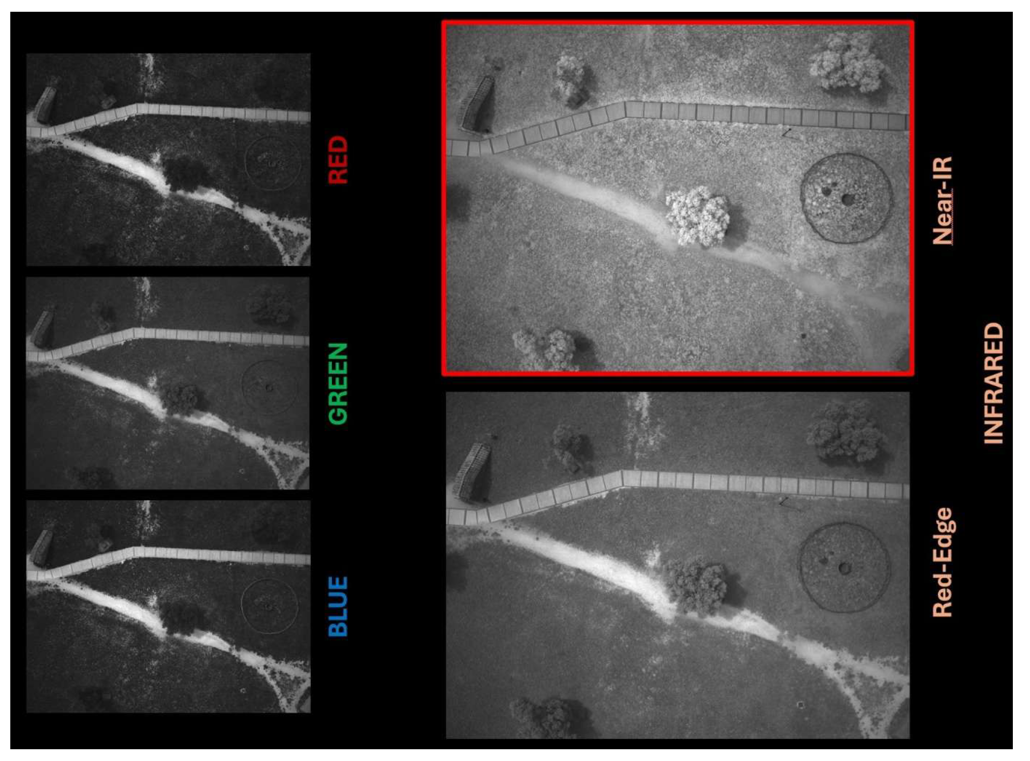 Preprints 231176 g002 Preprints 231176 g002