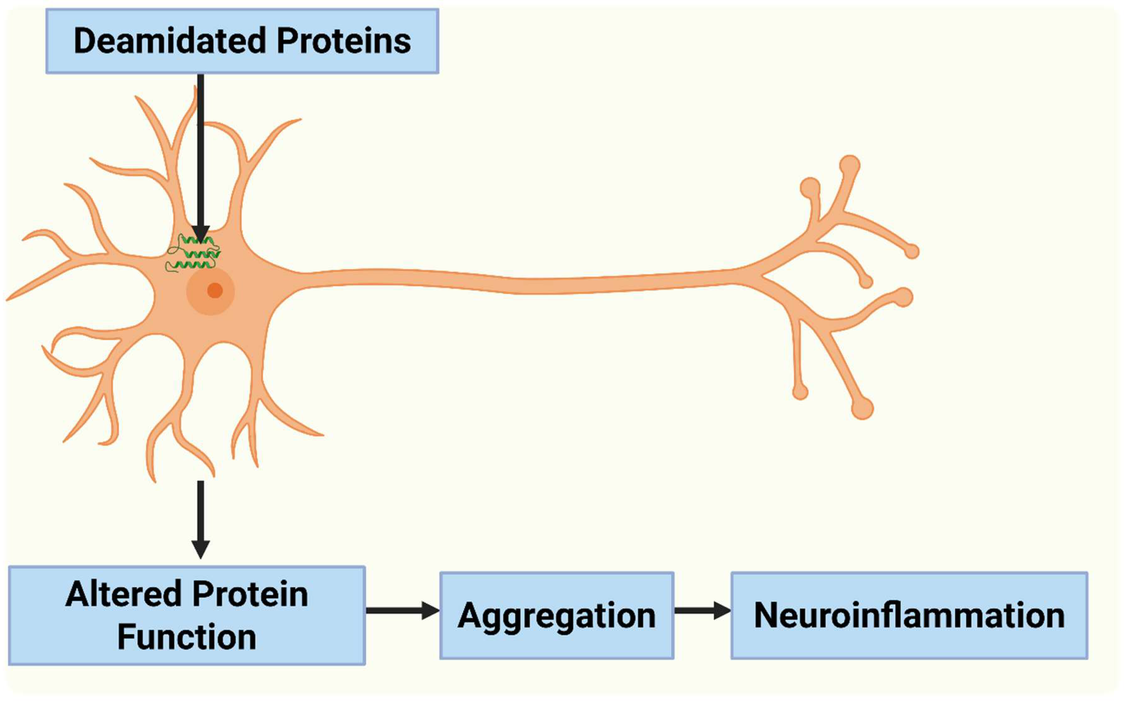 Preprints 157247 g002