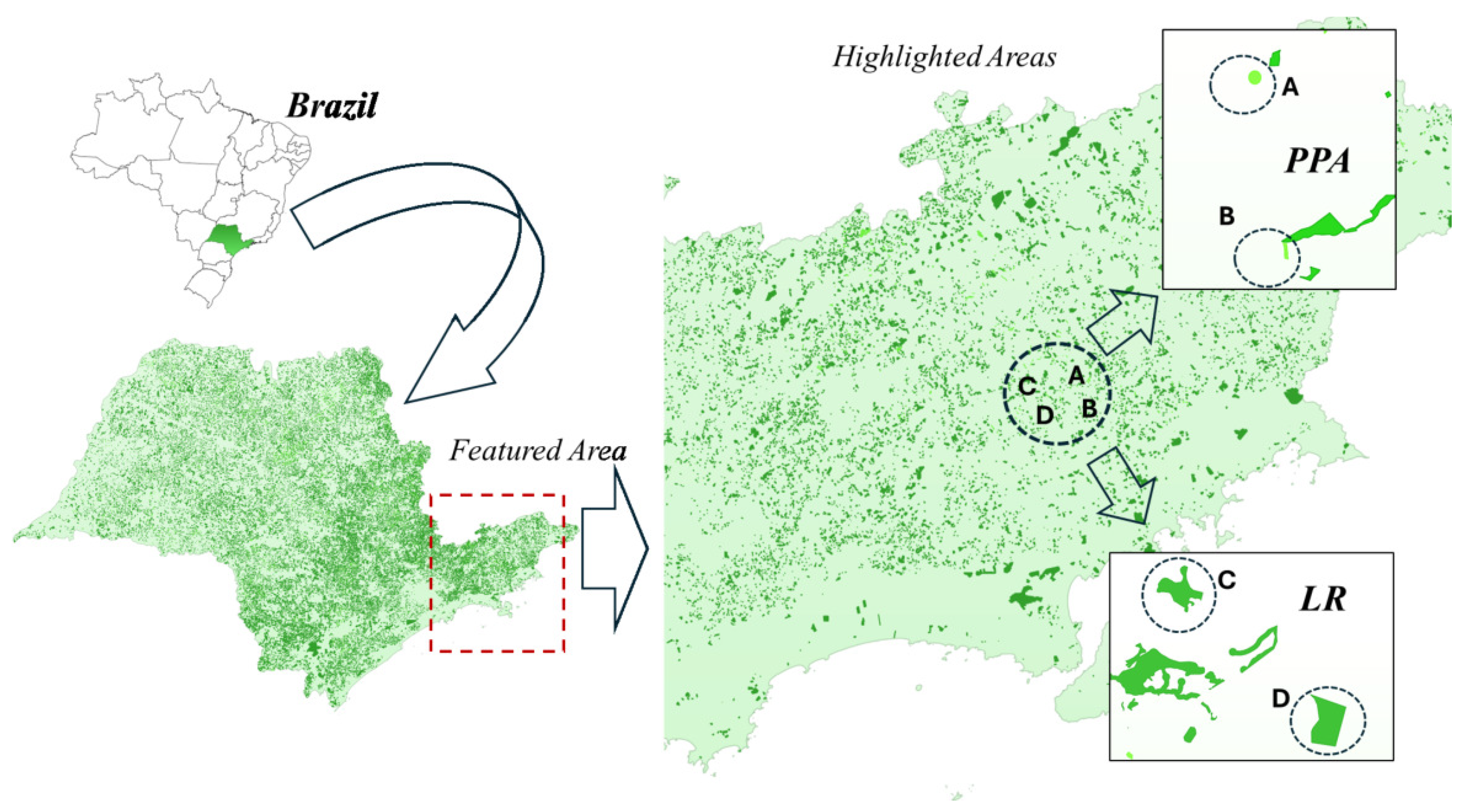 Preprints 145157 g004