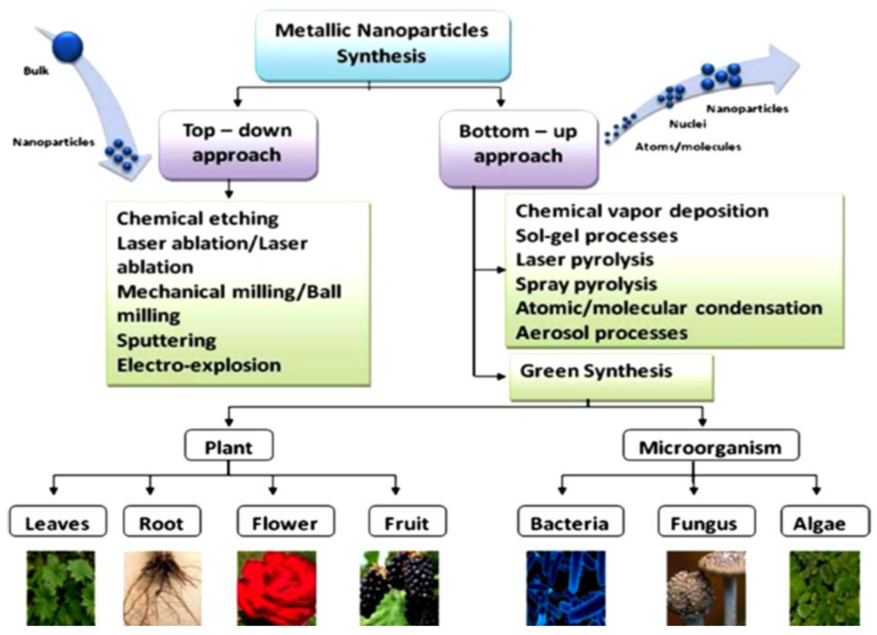 Preprints 88006 g001
