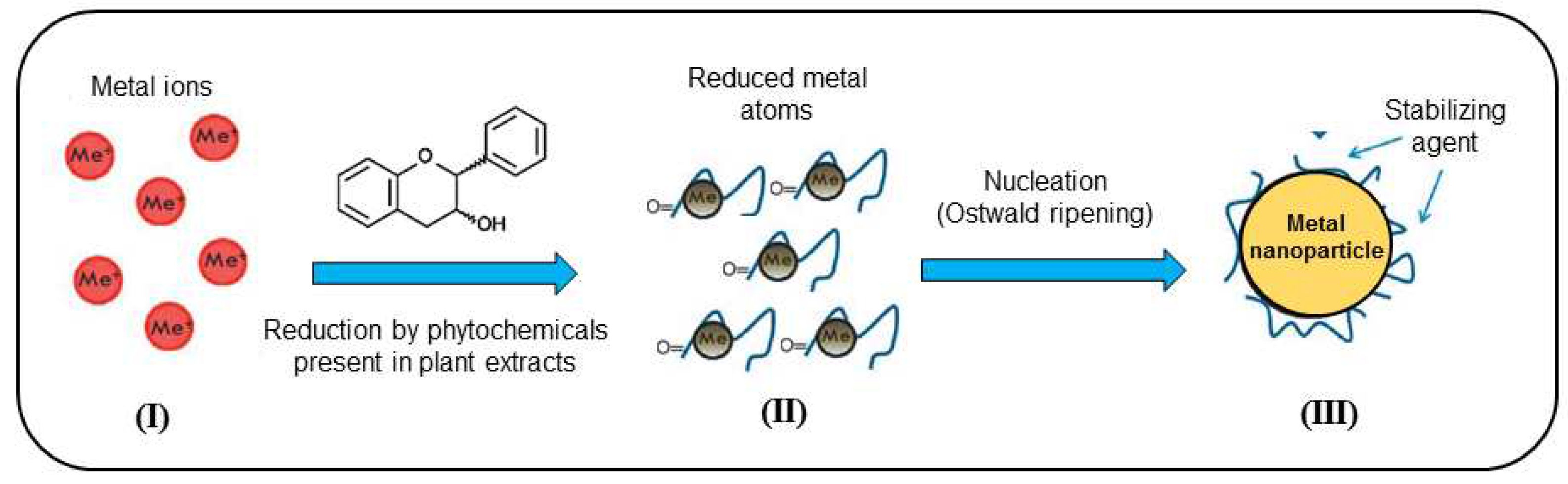 Preprints 88006 g004