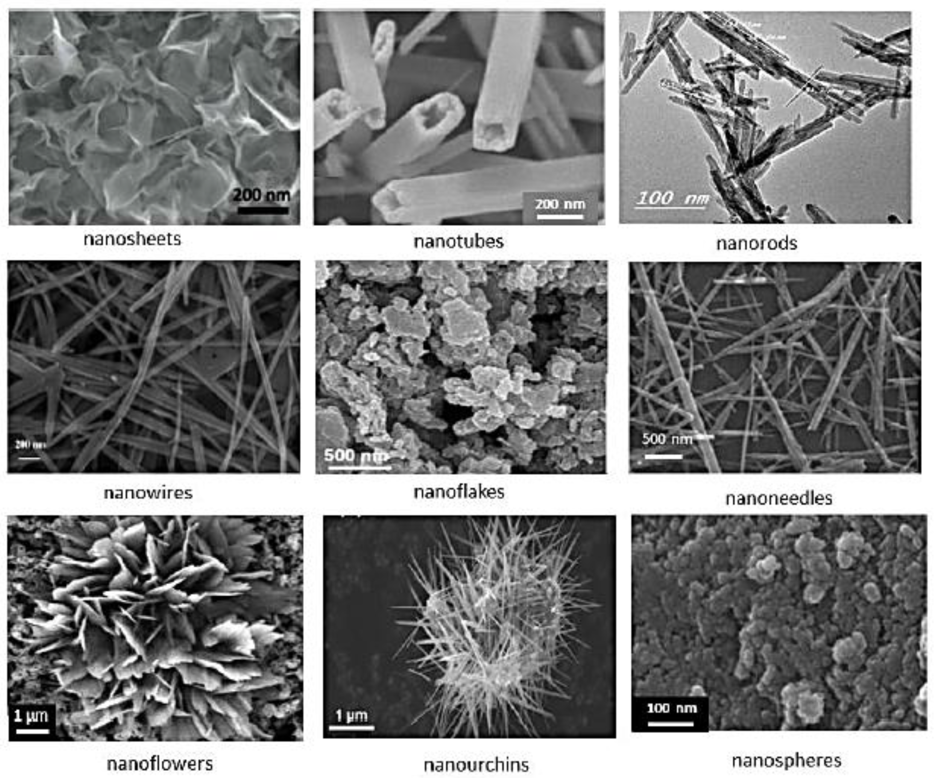 Preprints 88006 g008