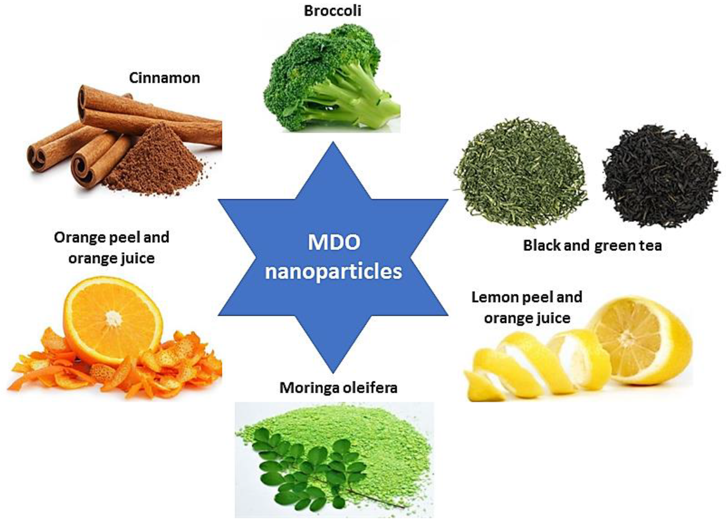 Preprints 88006 g009