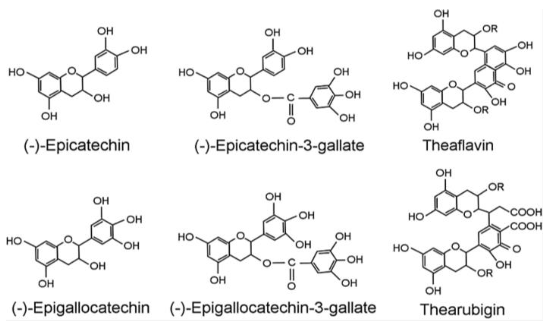 Preprints 88006 g012