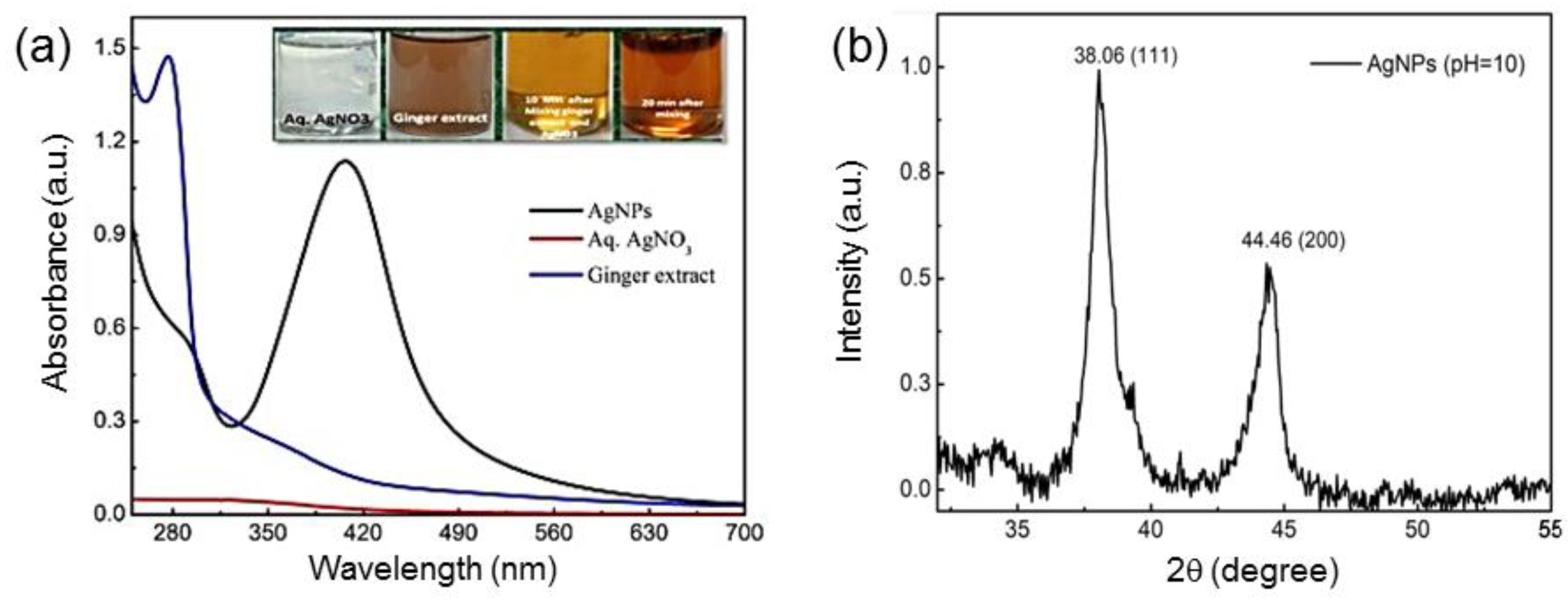 Preprints 88006 g021