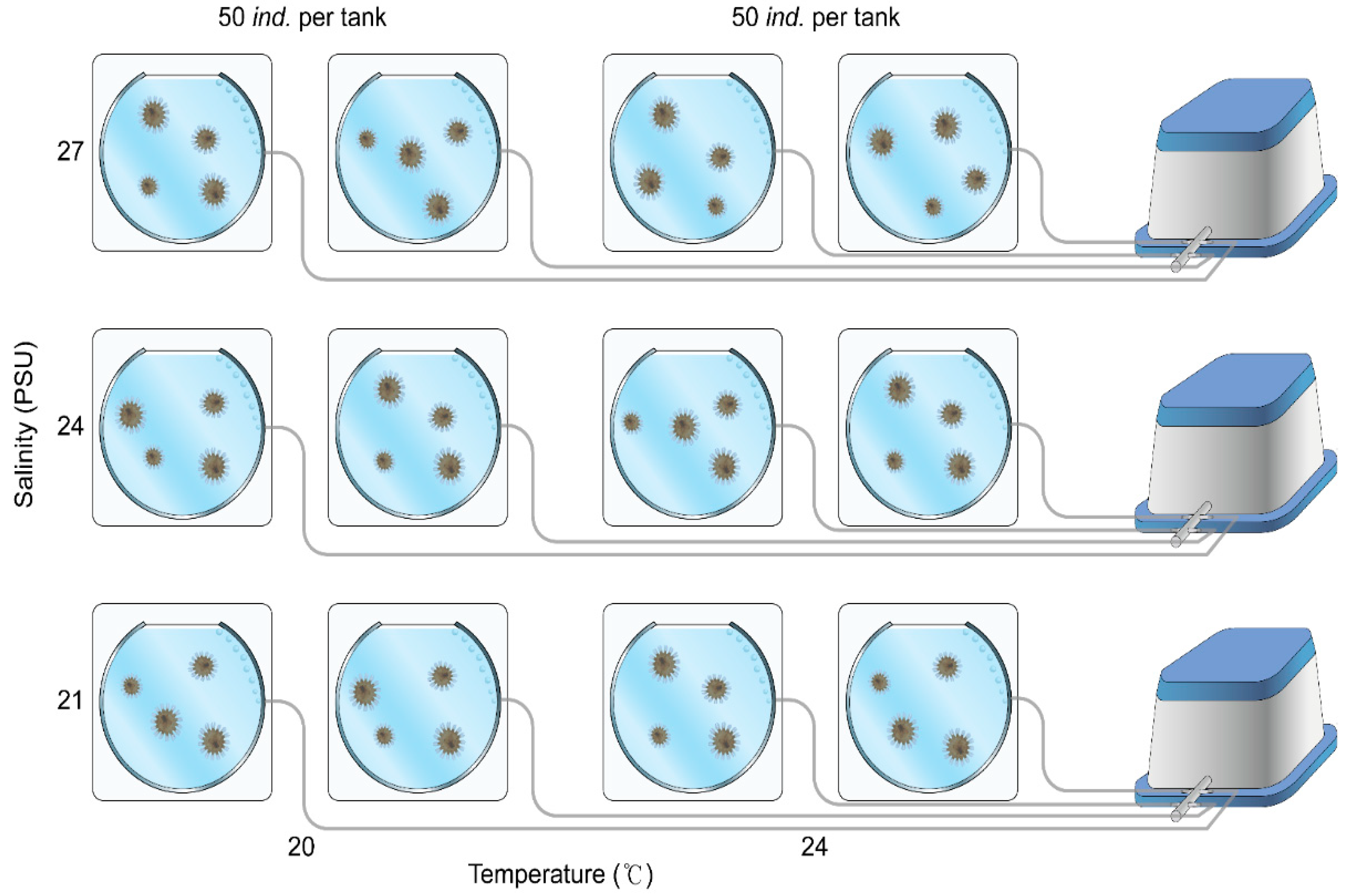 Preprints 151890 g001