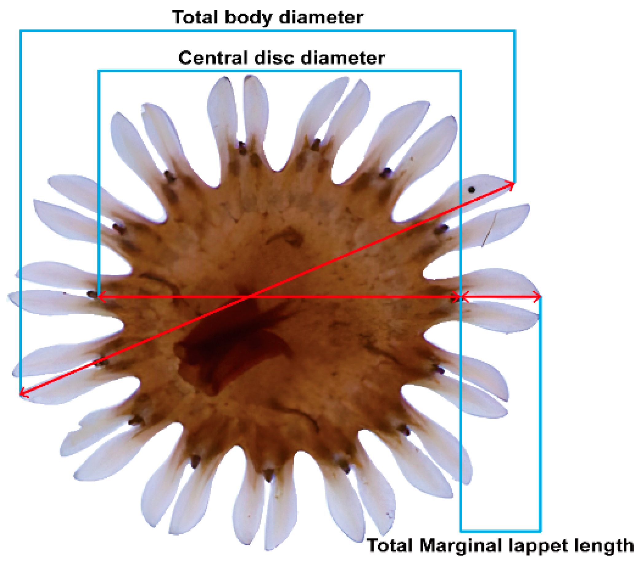 Preprints 151890 g002