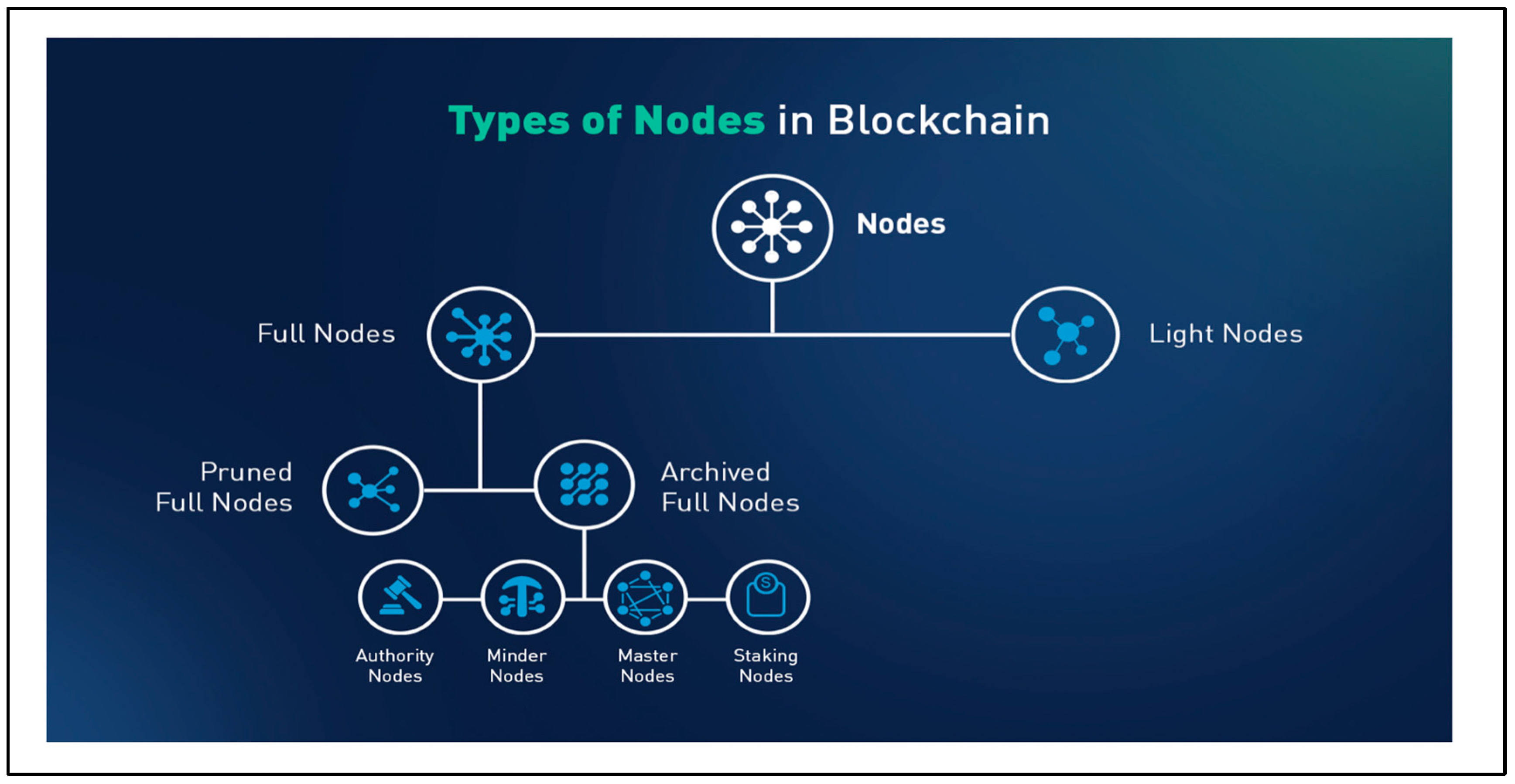 Preprints 145257 g002