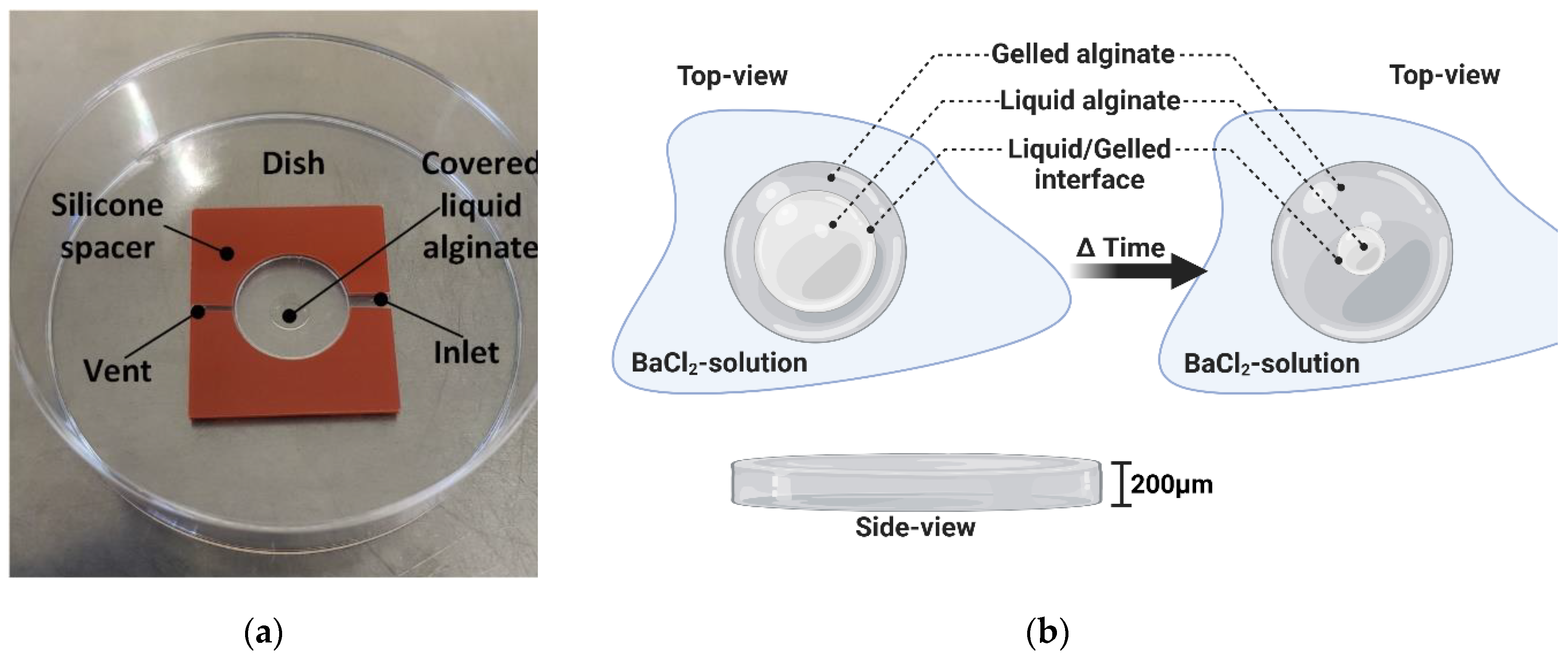 Preprints 143611 g001