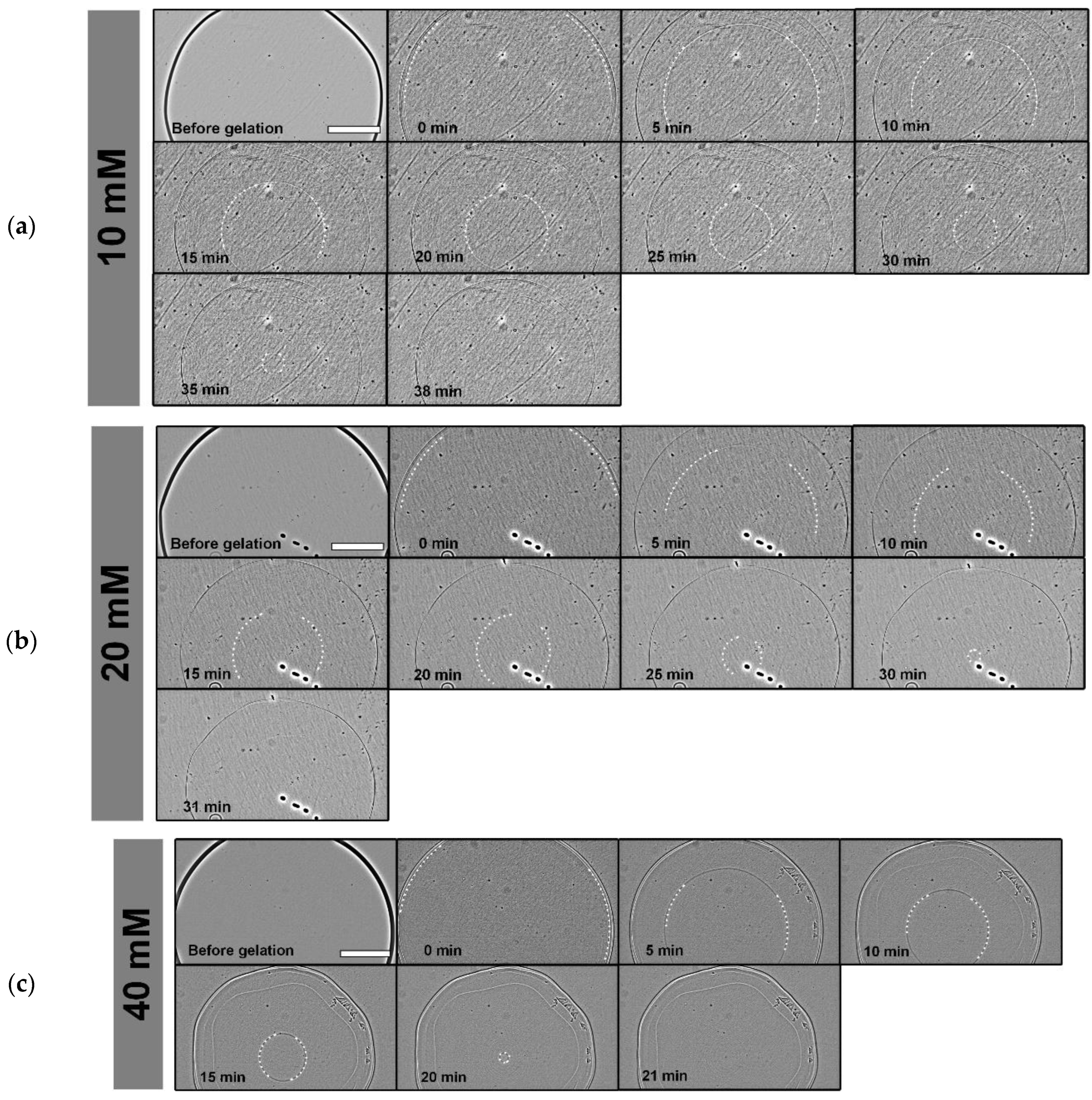 Preprints 143611 g003