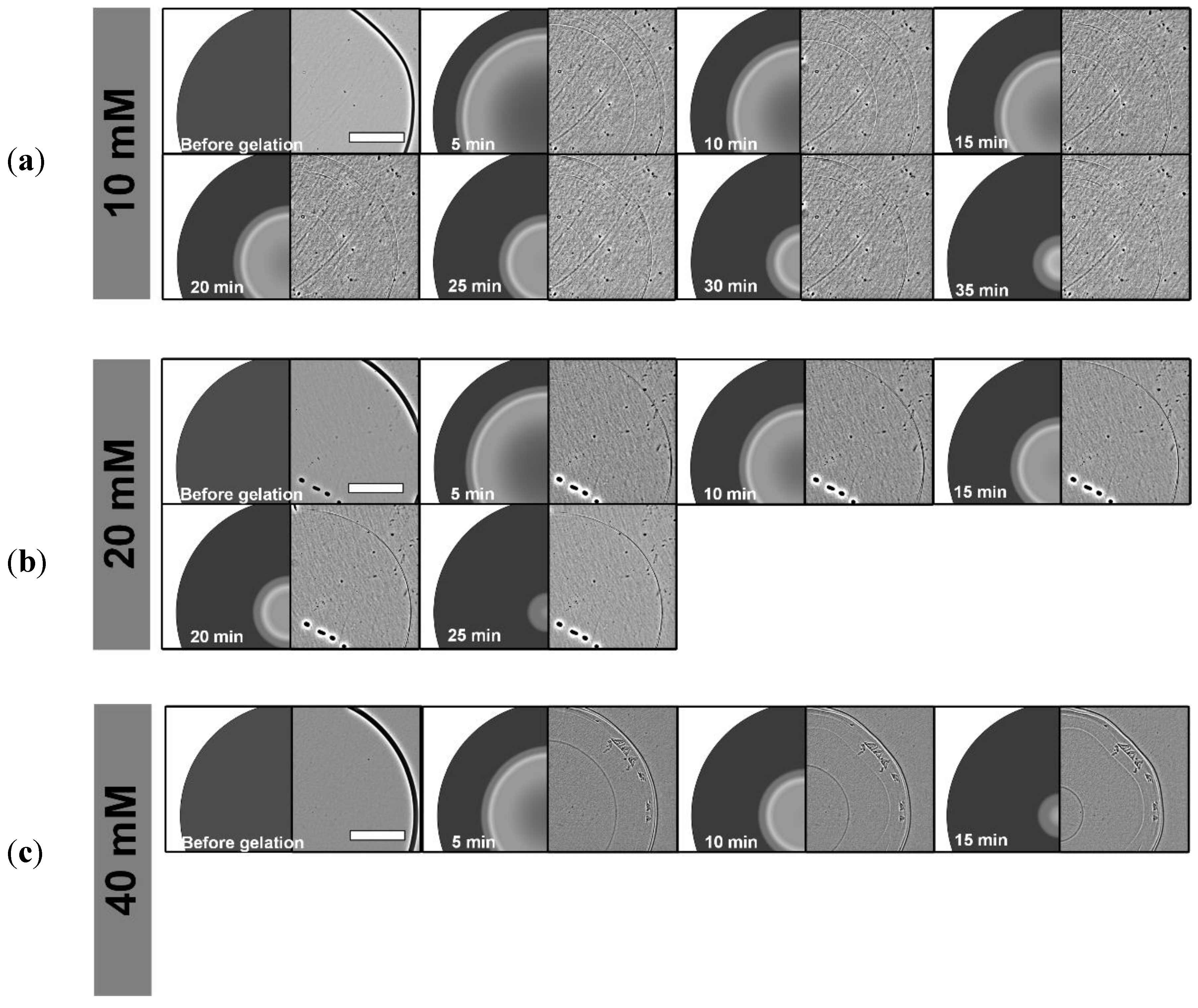 Preprints 143611 g006