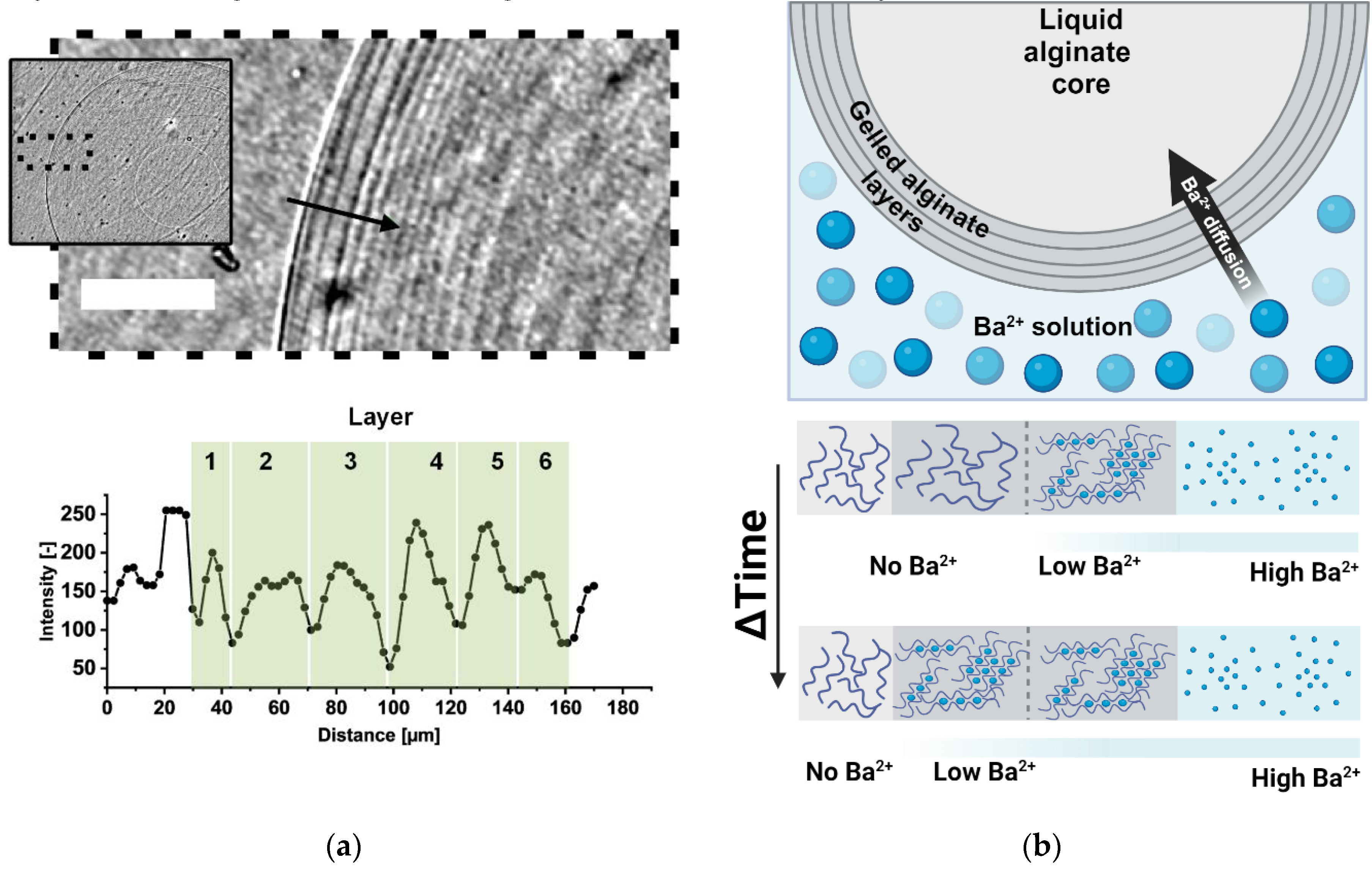 Preprints 143611 g008